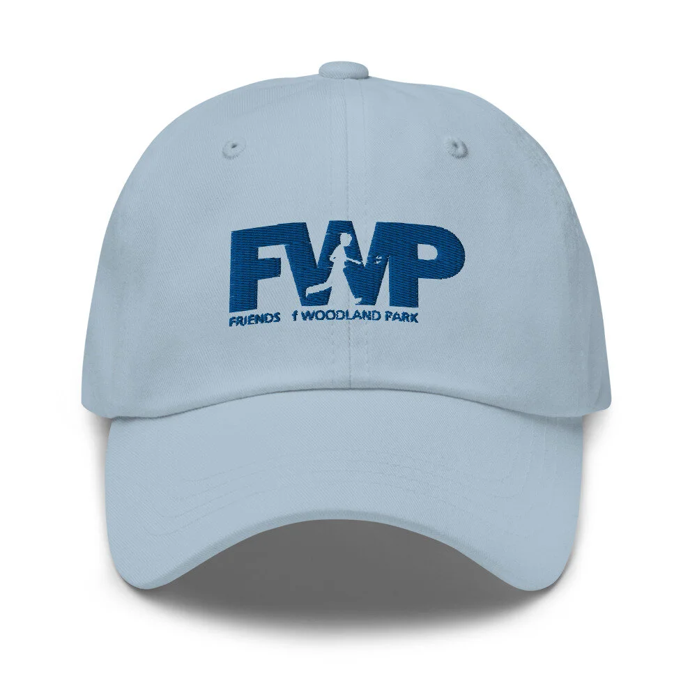 classic-dad-hat-light-blue-front-60a6786d4a7ca.jpg