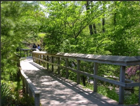 birdwalk.jpg
