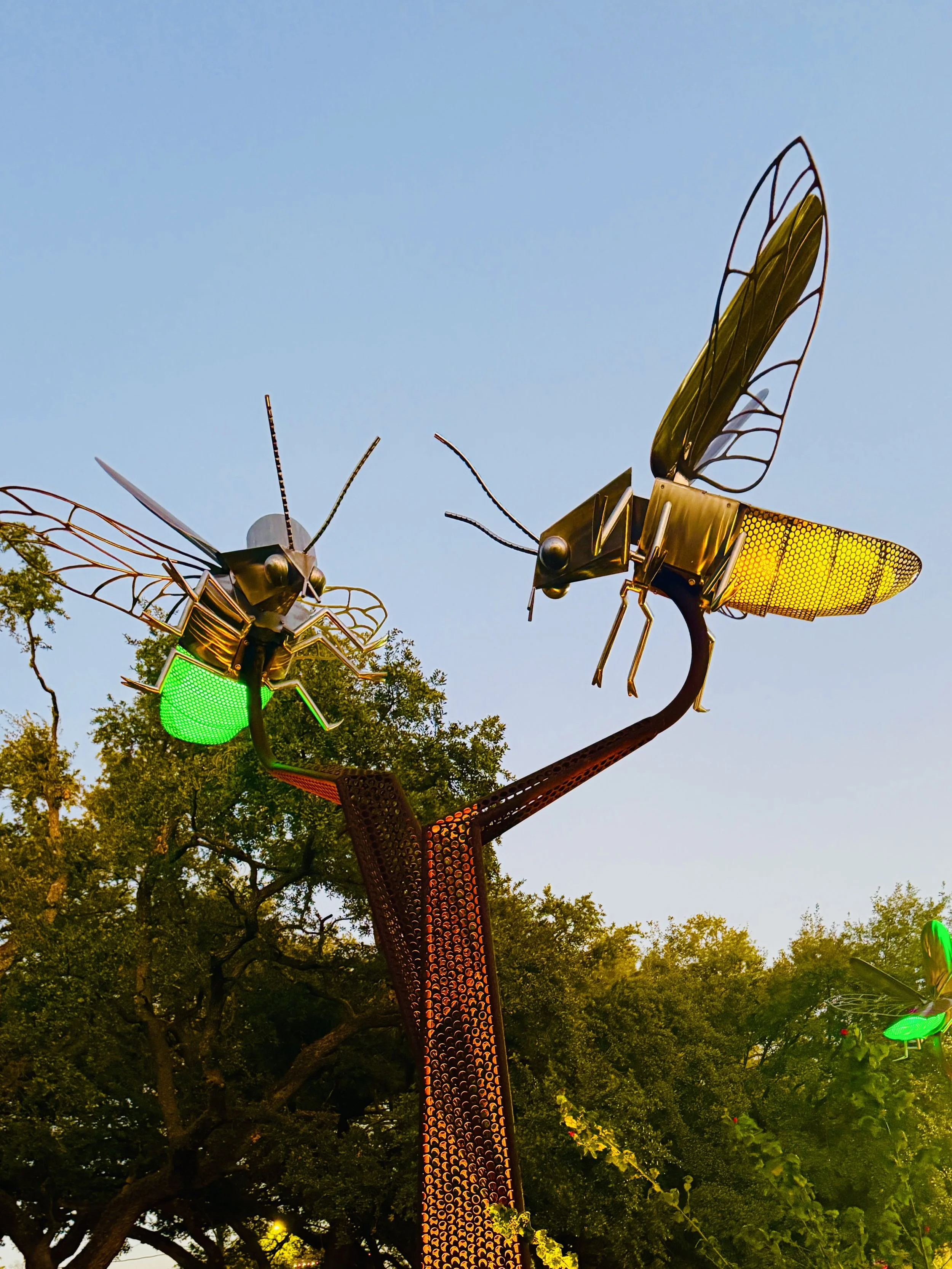 Exciting January Events Kick-off This Weekend!