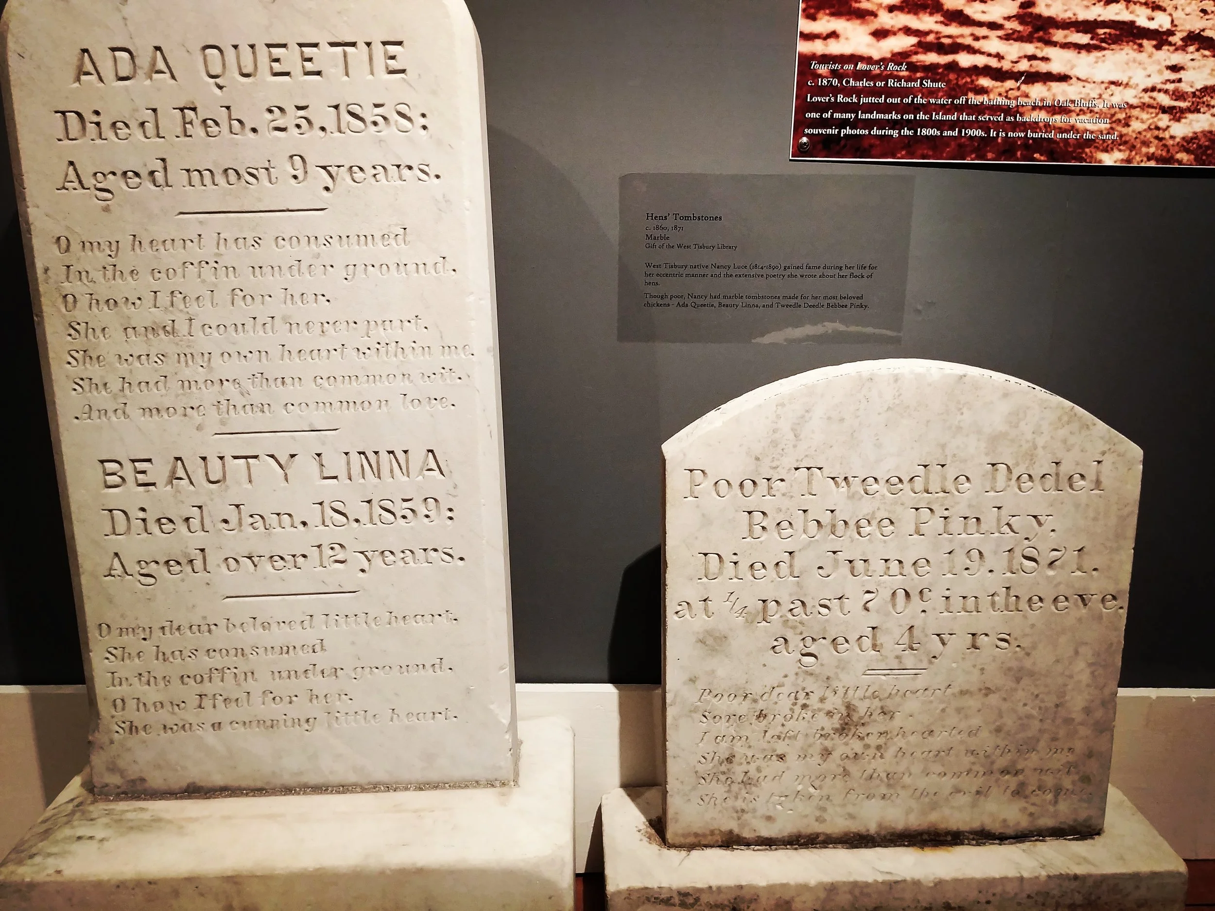 By contrast, the gravestones of her beloved chickens...