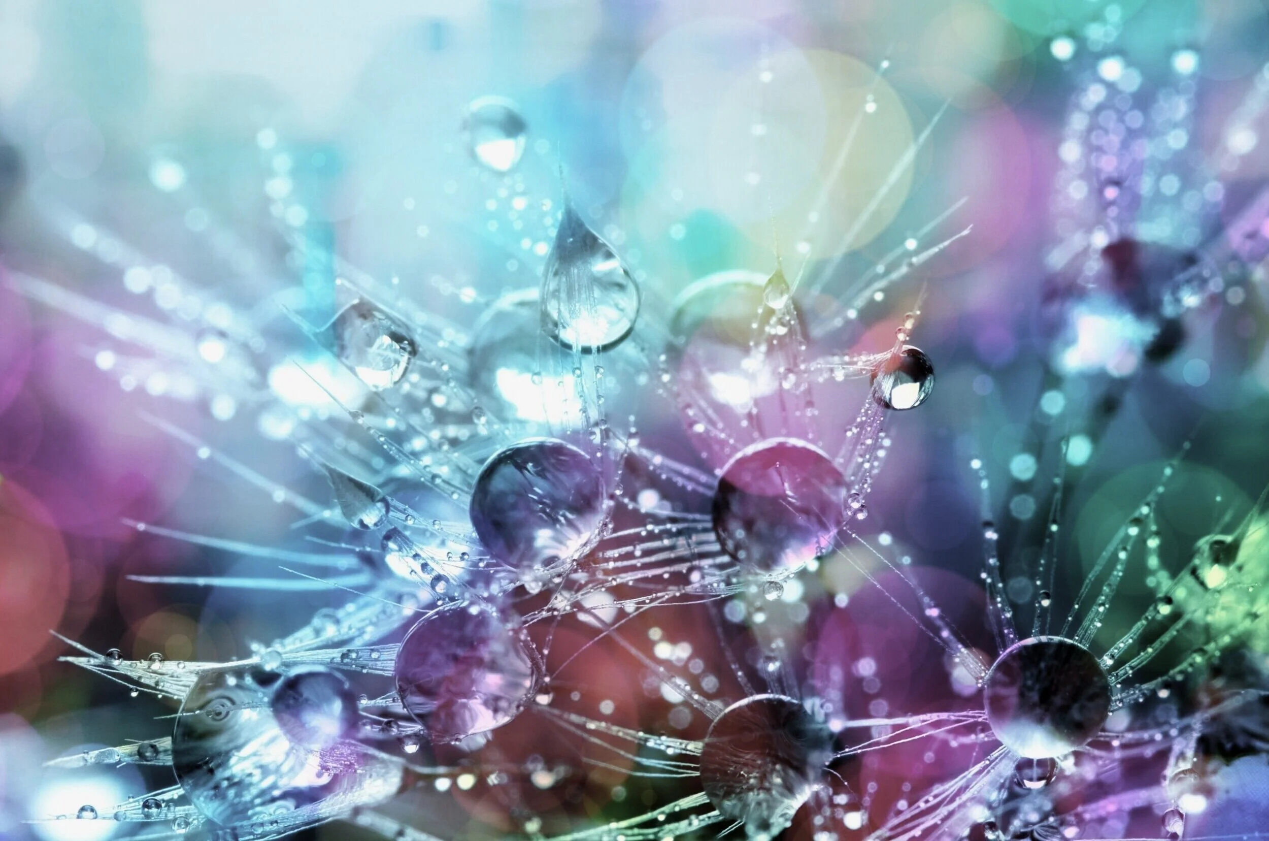 bokeh-shot-of-water-droplets-794495.jpg