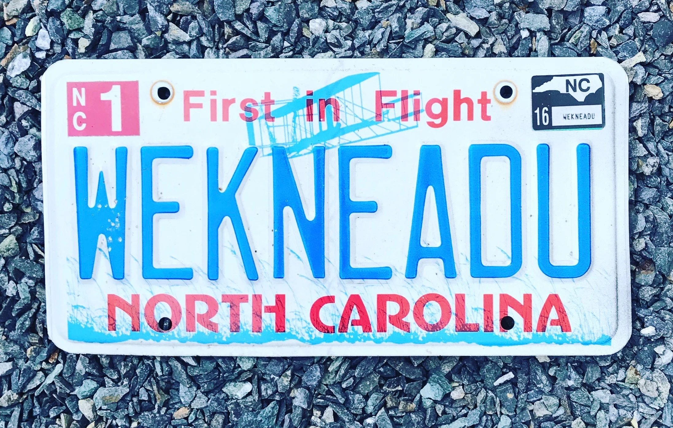 WE KNEAD U with US!