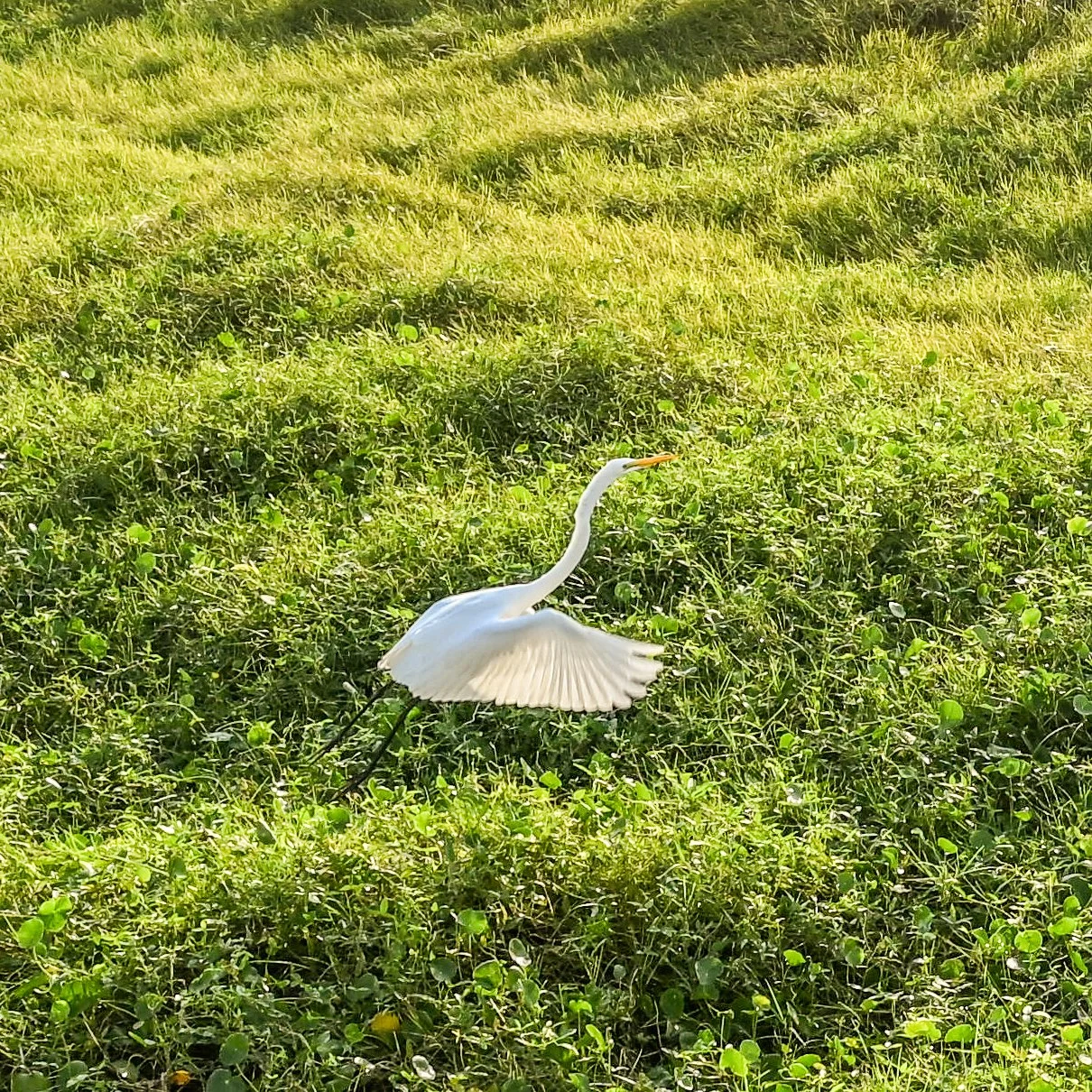 DSC_1670.jpg