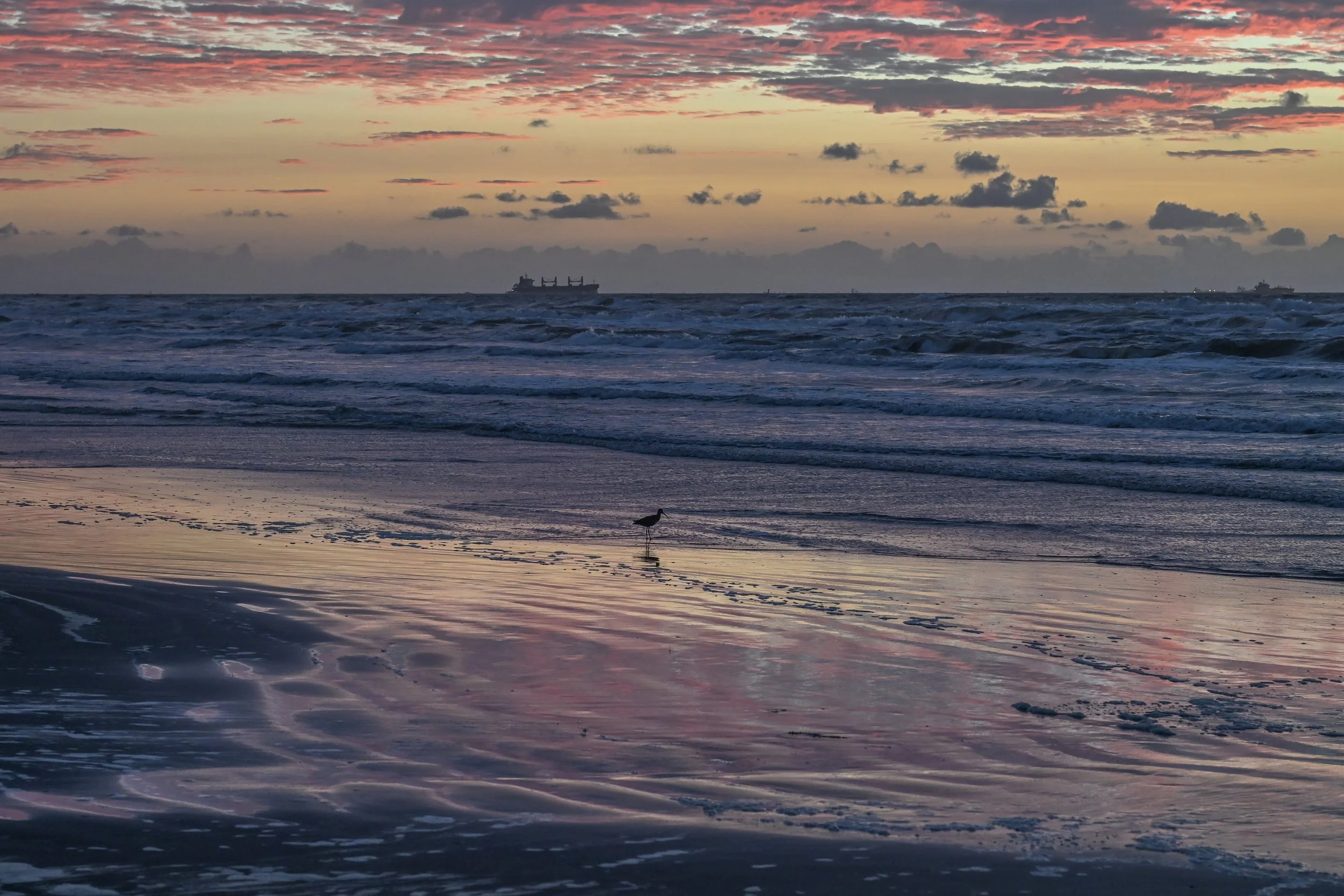 DSC_1565.jpg