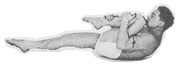 best pilates classes reformer seattle