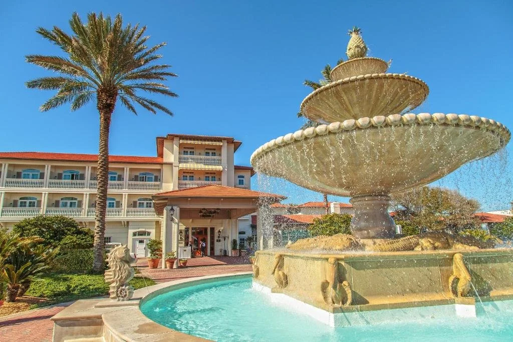 31916689.jpg