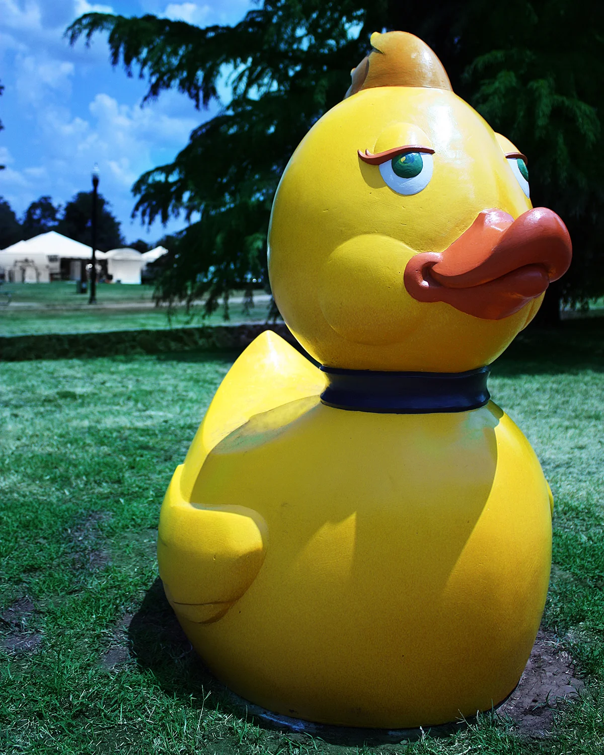 Samo Ducky