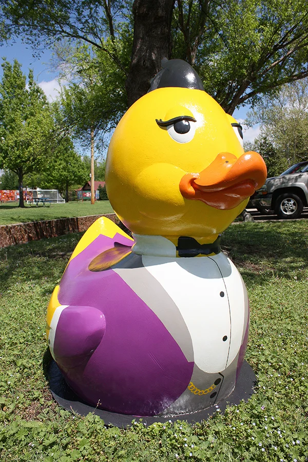 Mr. Duck, Esquire