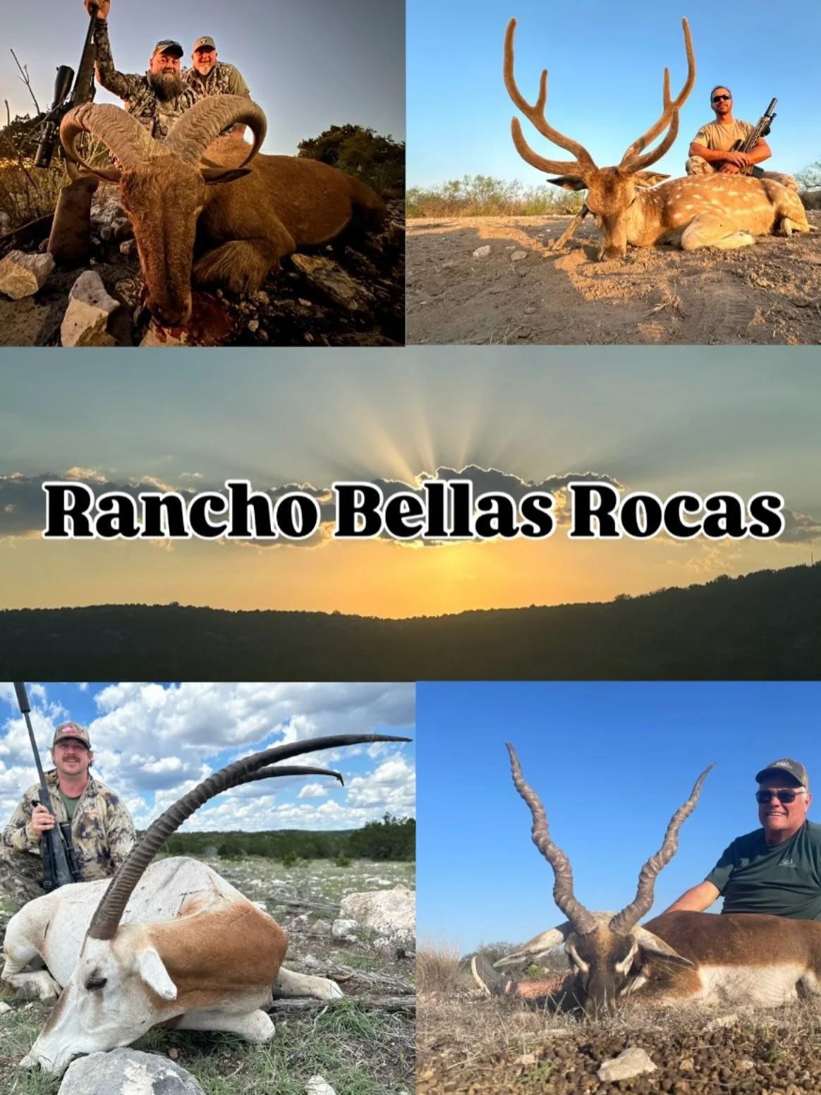 Looking for a fun filled hunting adventure that spans past just a hunt? Look no further than Rancho Bellas Rocas! With miles of ridge complex in the start of the hill country and the ability to do a mix of hunting styles RBR is the place to hunt at! 