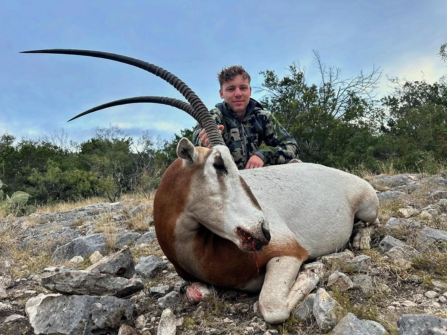 Two great Scimitar Horned Oryx out at RBR! Such a great tasting animal that looks stunning on the wall, Scimitar&rsquo;s are a cousin to the South African Gemsbok and have an amazing story of conservation efforts through hunting. Give us a shout to b