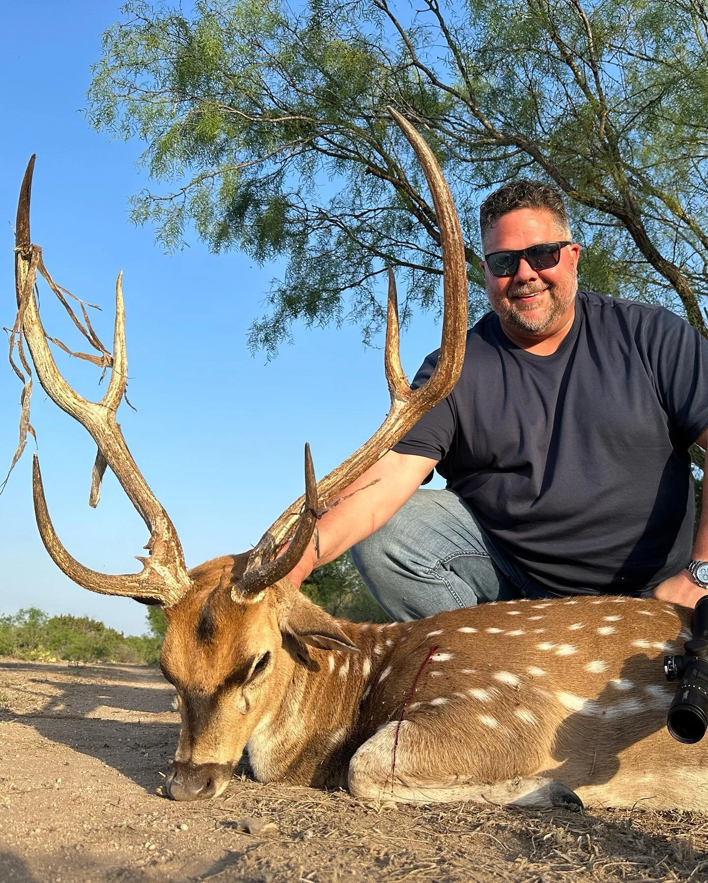 Are you ready for this hunting season? Check out these two great axis bucks! Axis deer, otherwise known as Chital, originate from India and make for excellent table fare and a beautiful mount. Give us a shout to book your next hunting adventure and m