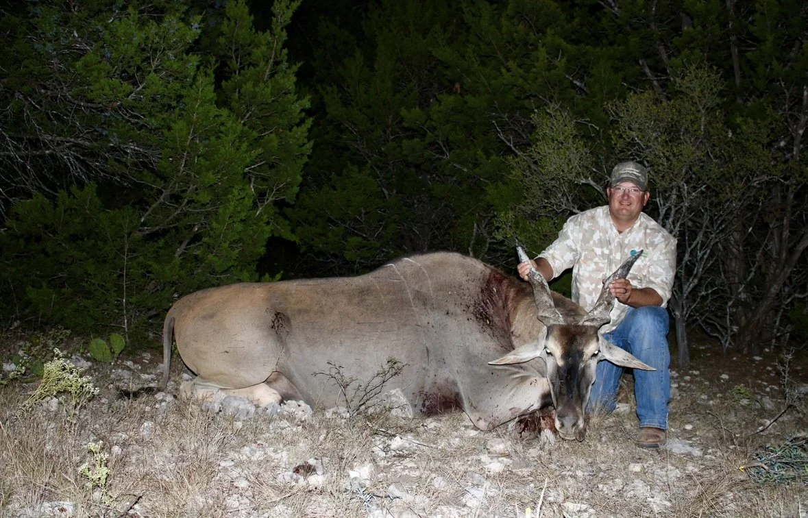 Eland.jpeg