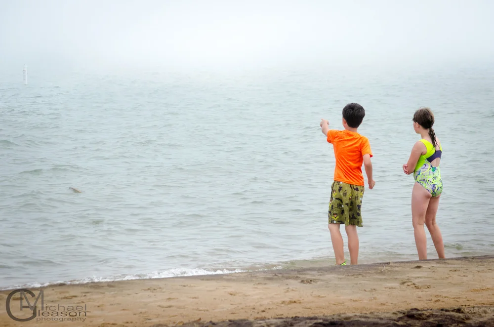 Tawas (5)
