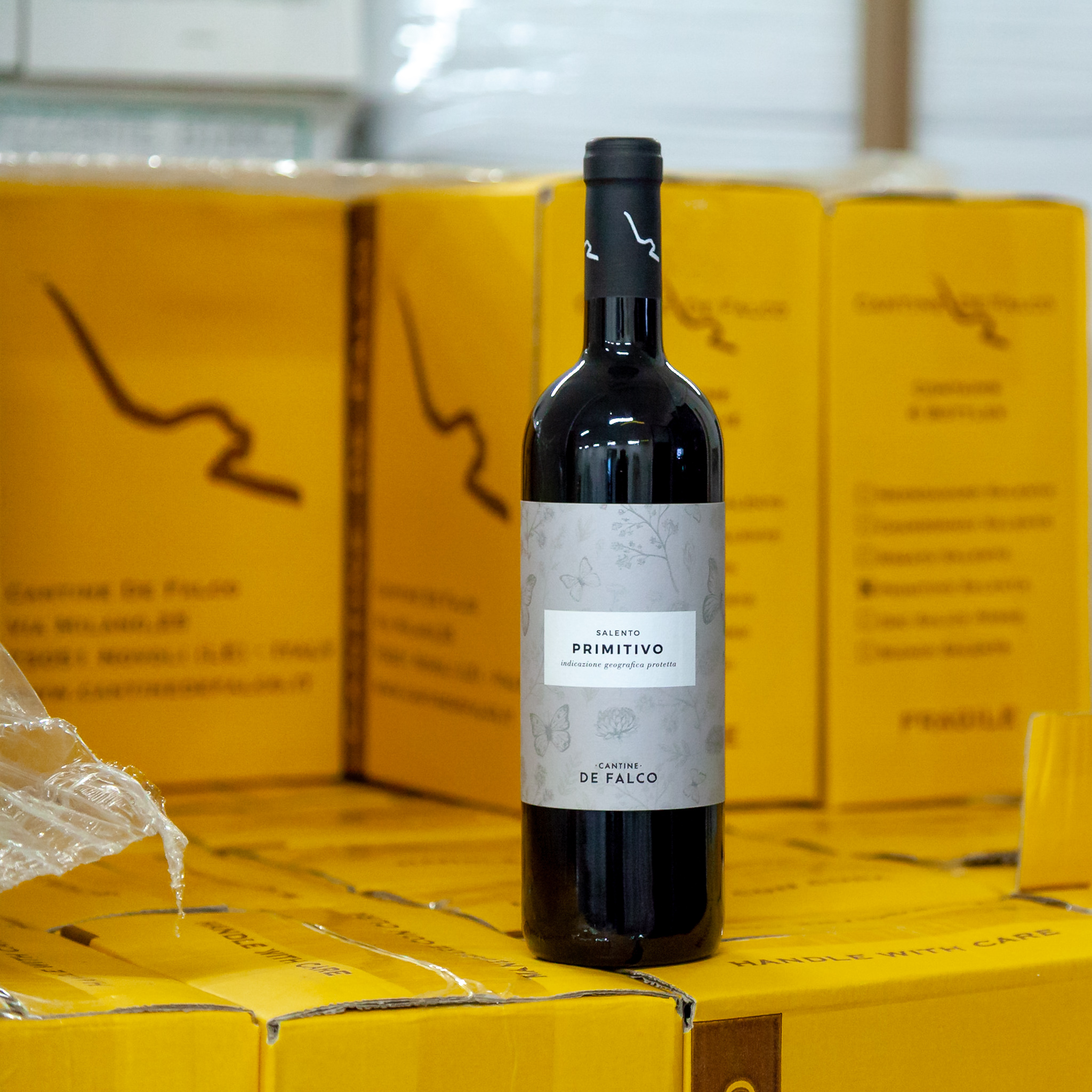 Primitivo_DeFalco.jpg