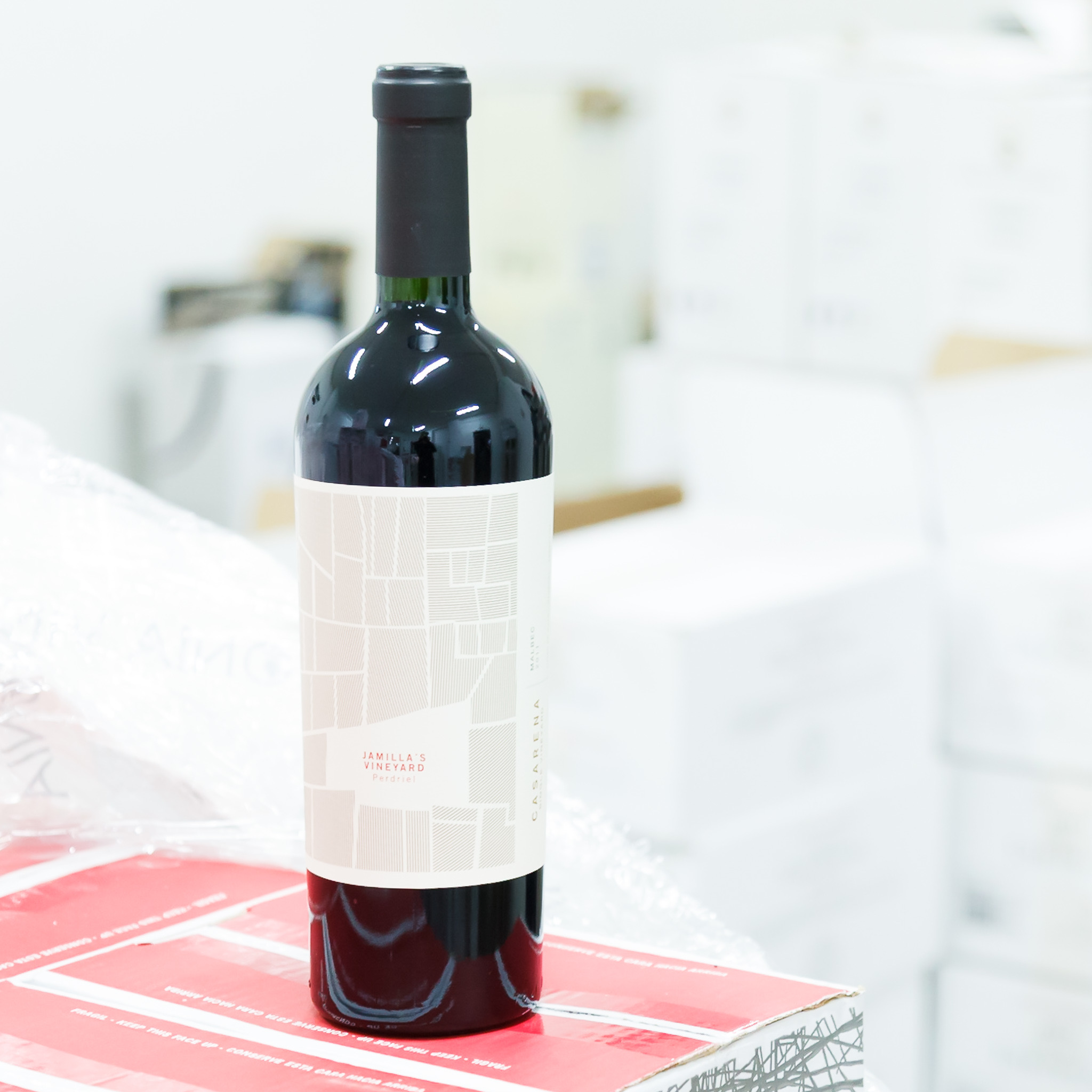 malbec_lauren_vineyard_casarena.jpg