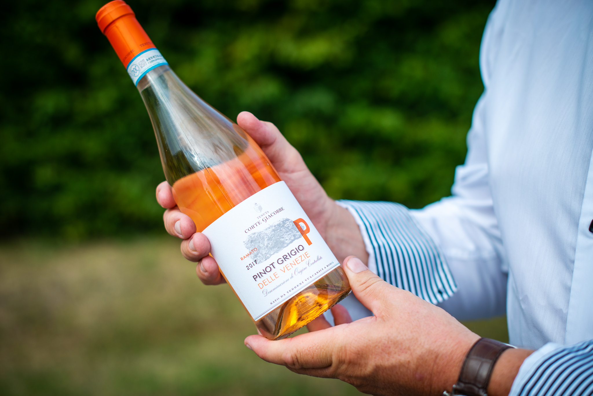 pinot_grigio_ramato_tenuta_corte_giacobbe.jpg