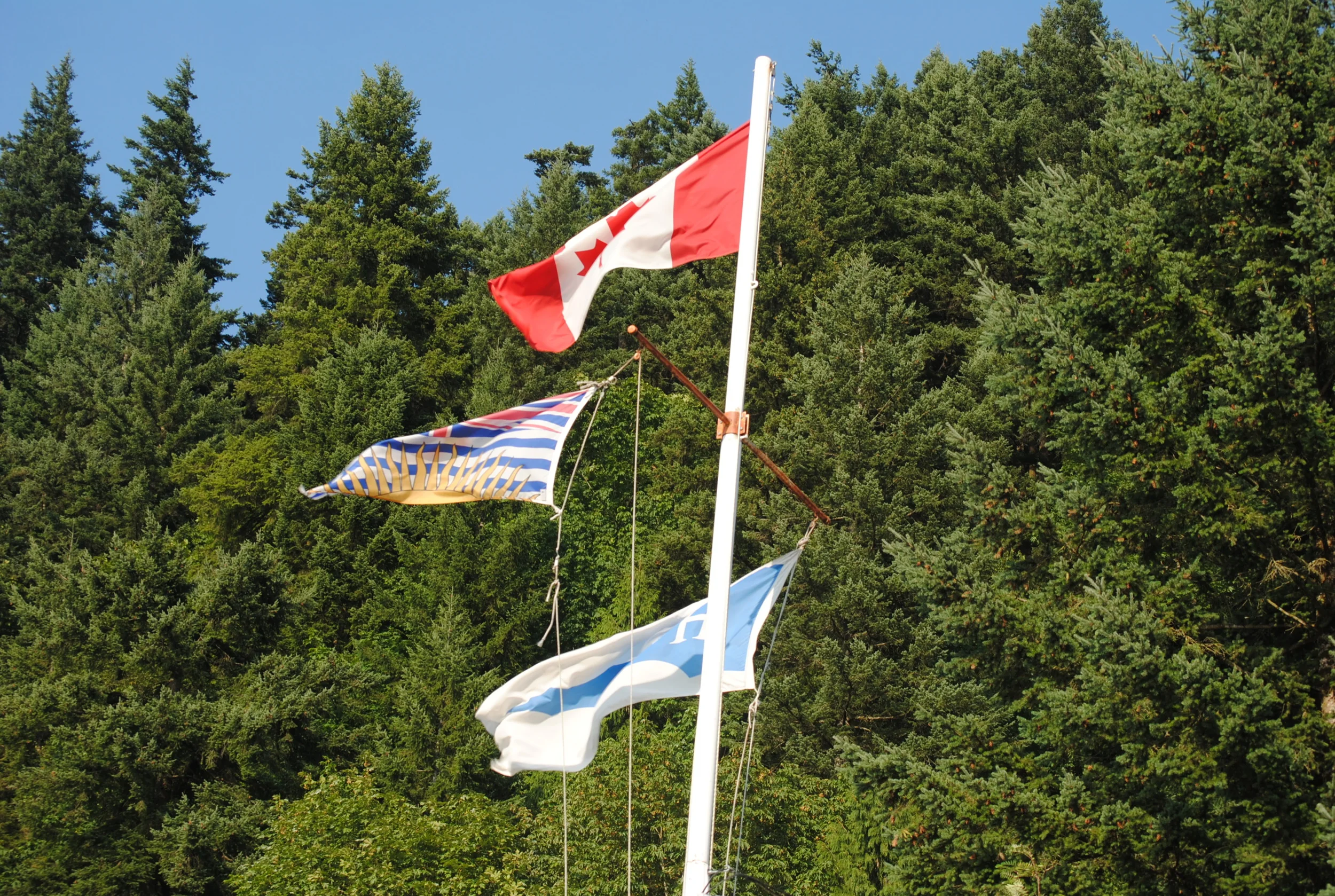 flags.jpeg