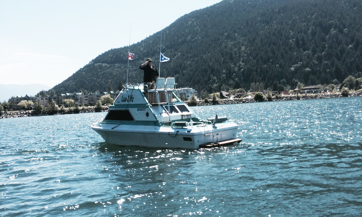 Sail Past.JPG