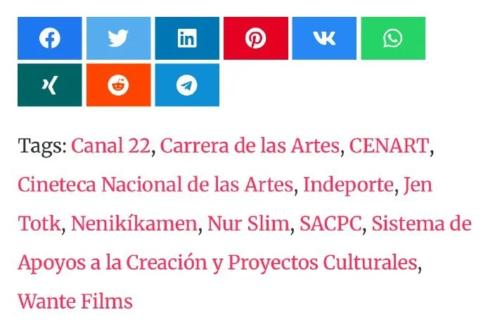 Sistema de Apoyos a la Creación (SACPC) · 2025