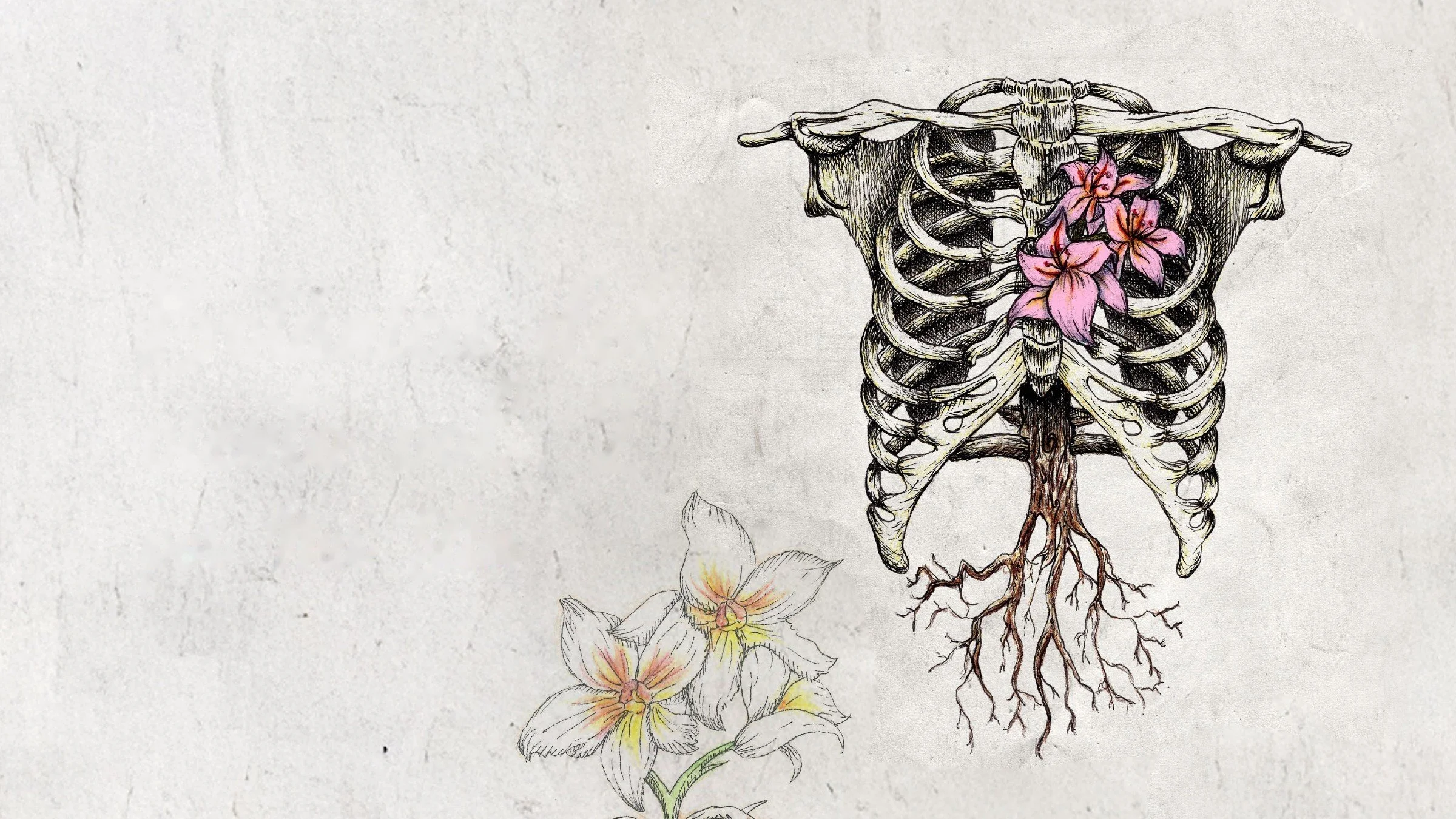 banner-botanica-vol2-sin-texto.jpg