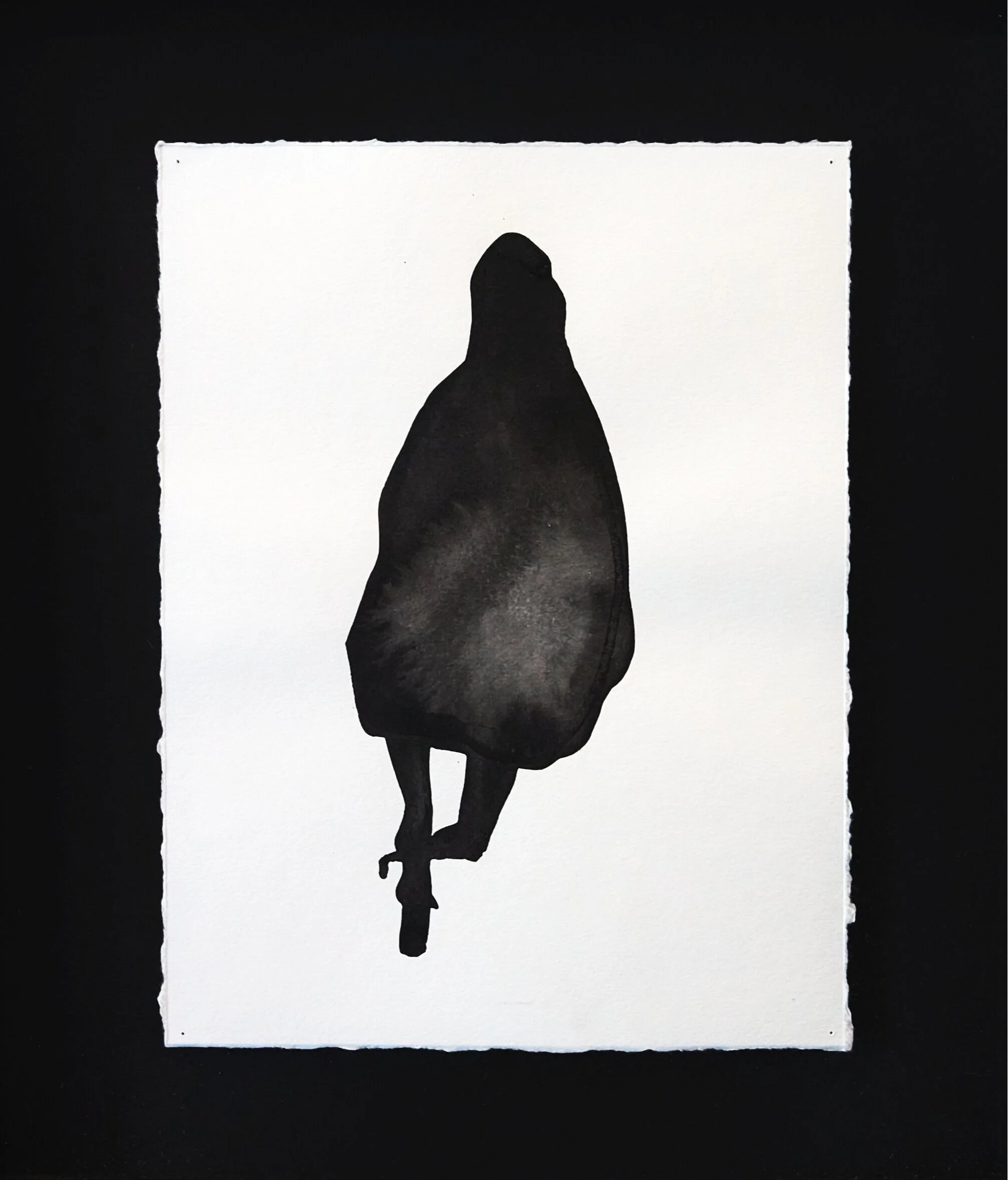 plumbum_2019_NCG.46.jpg
