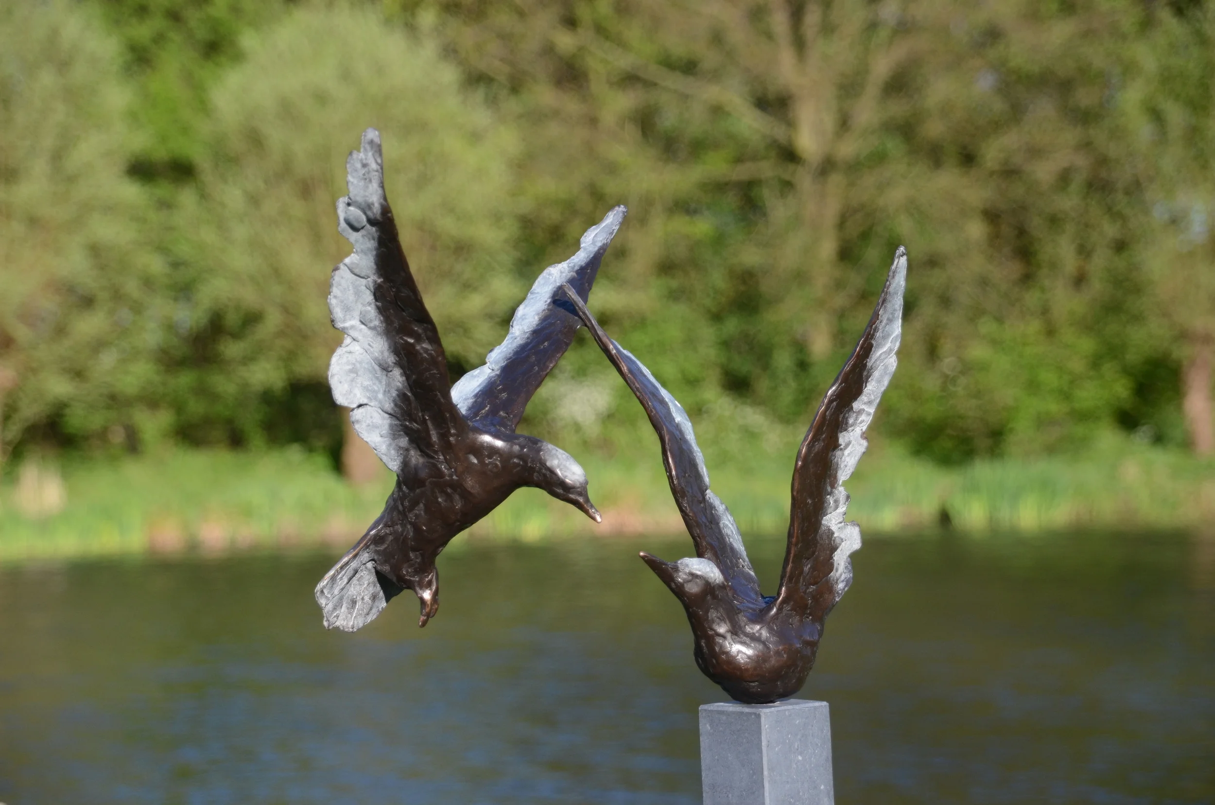 Ontmoeting, twee sterns