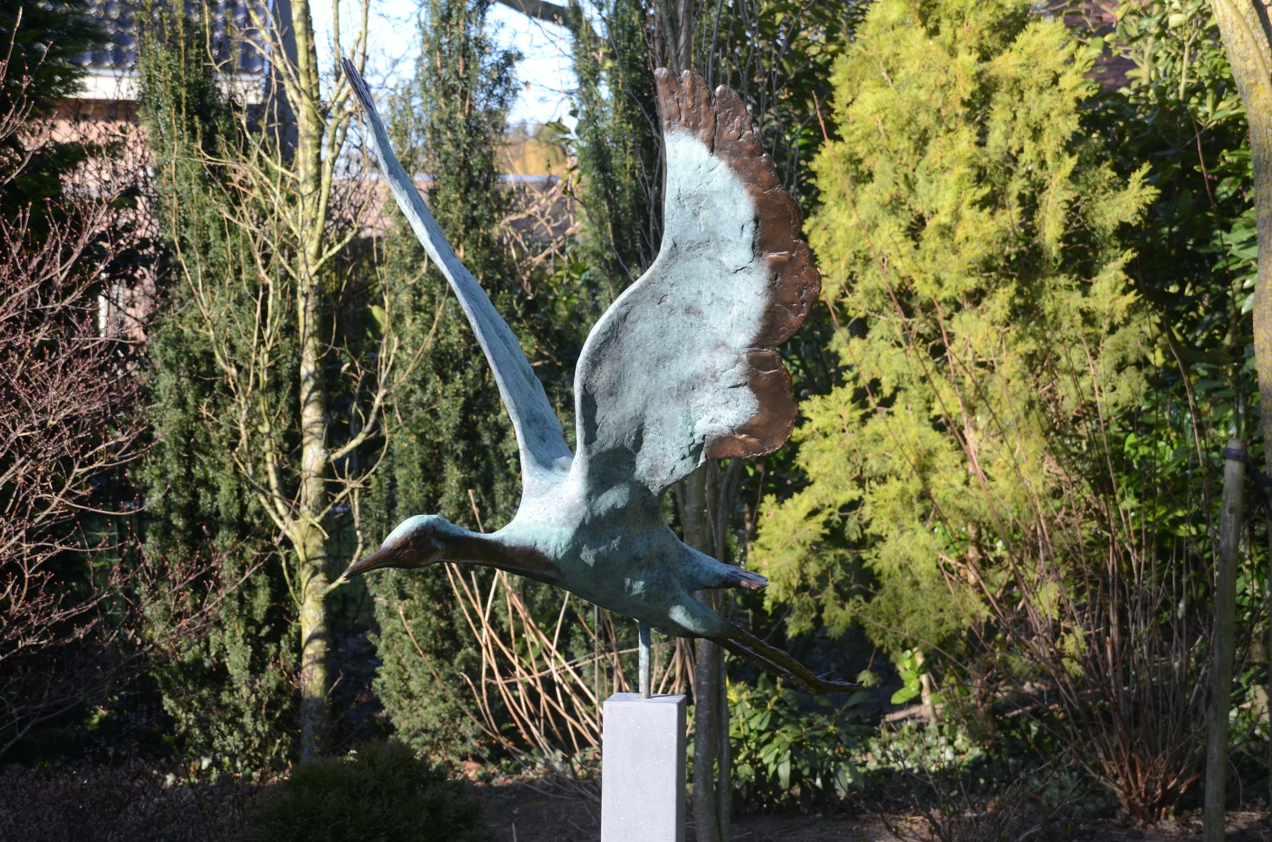 Kraanvogel