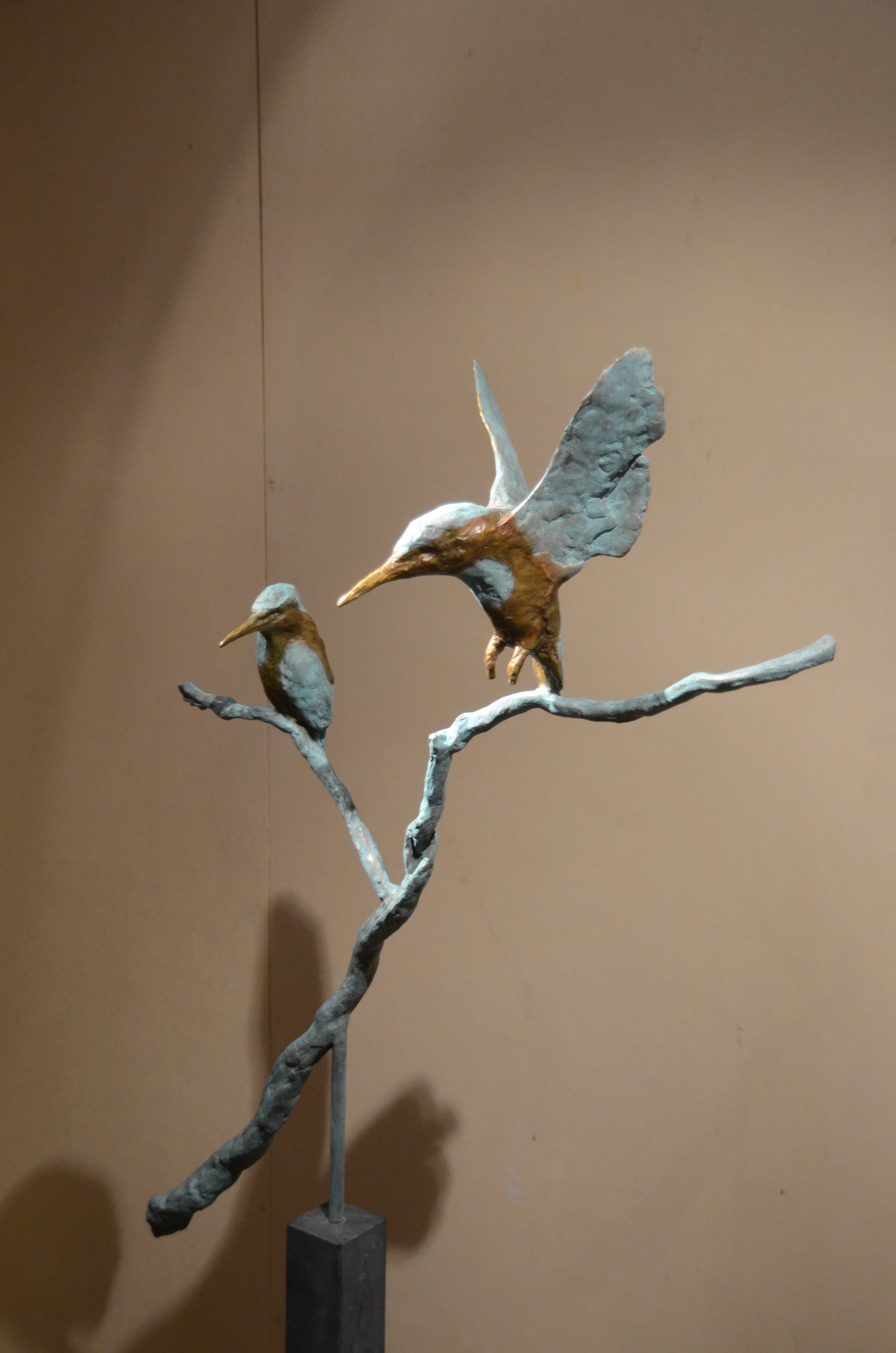 Vliegende en zittende ijsvogel