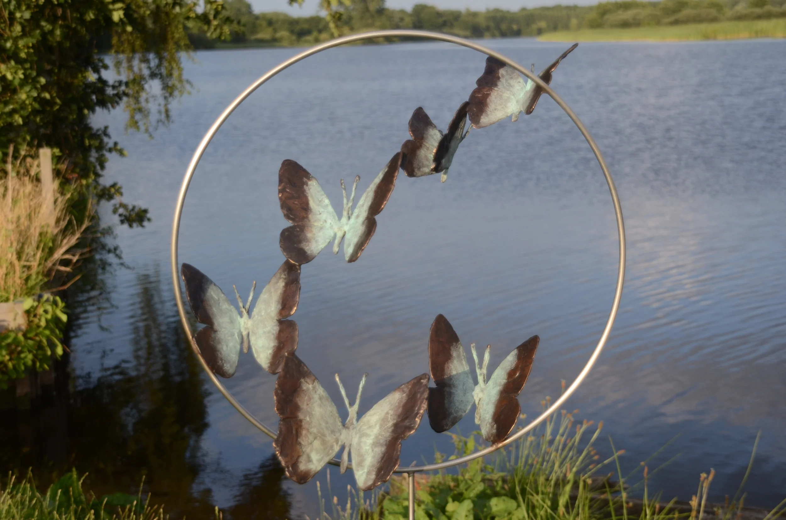 Vlinders, achterkant