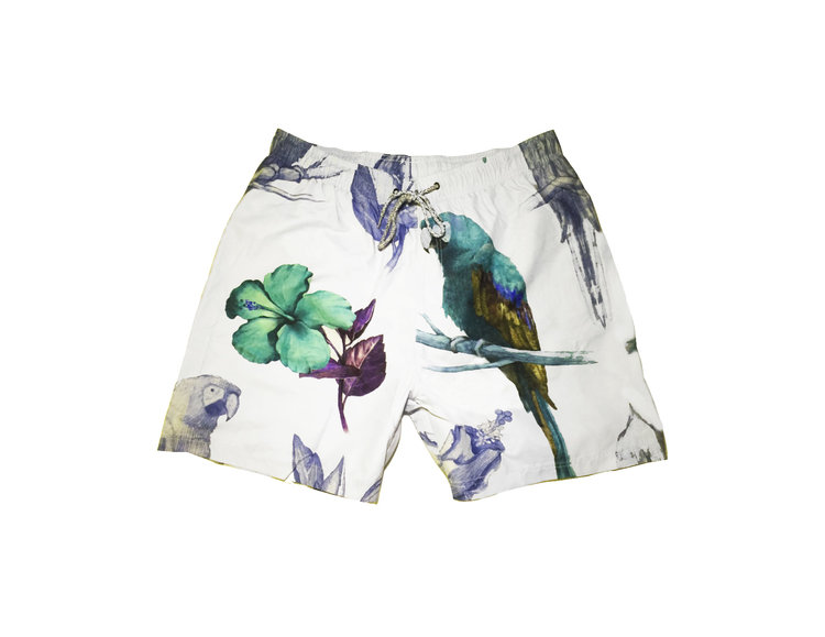 BIRD OF PARADISE  ( *Board short )