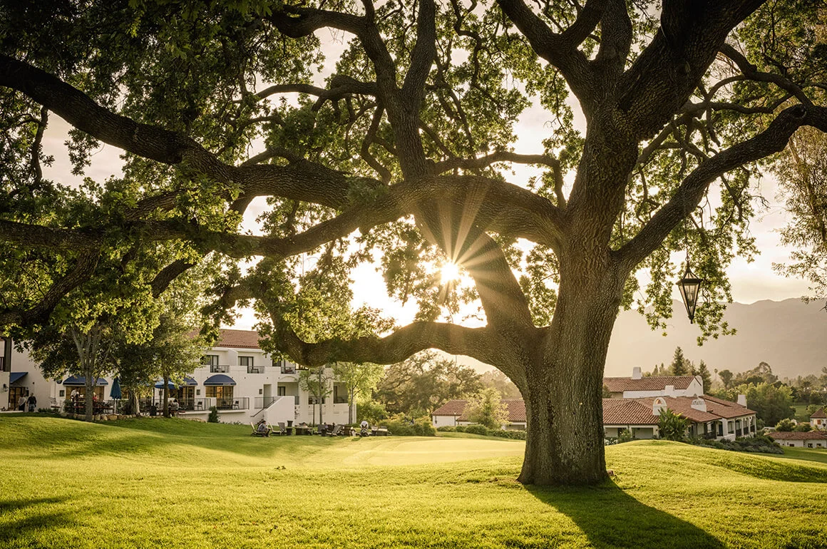 ojai 3.jpg
