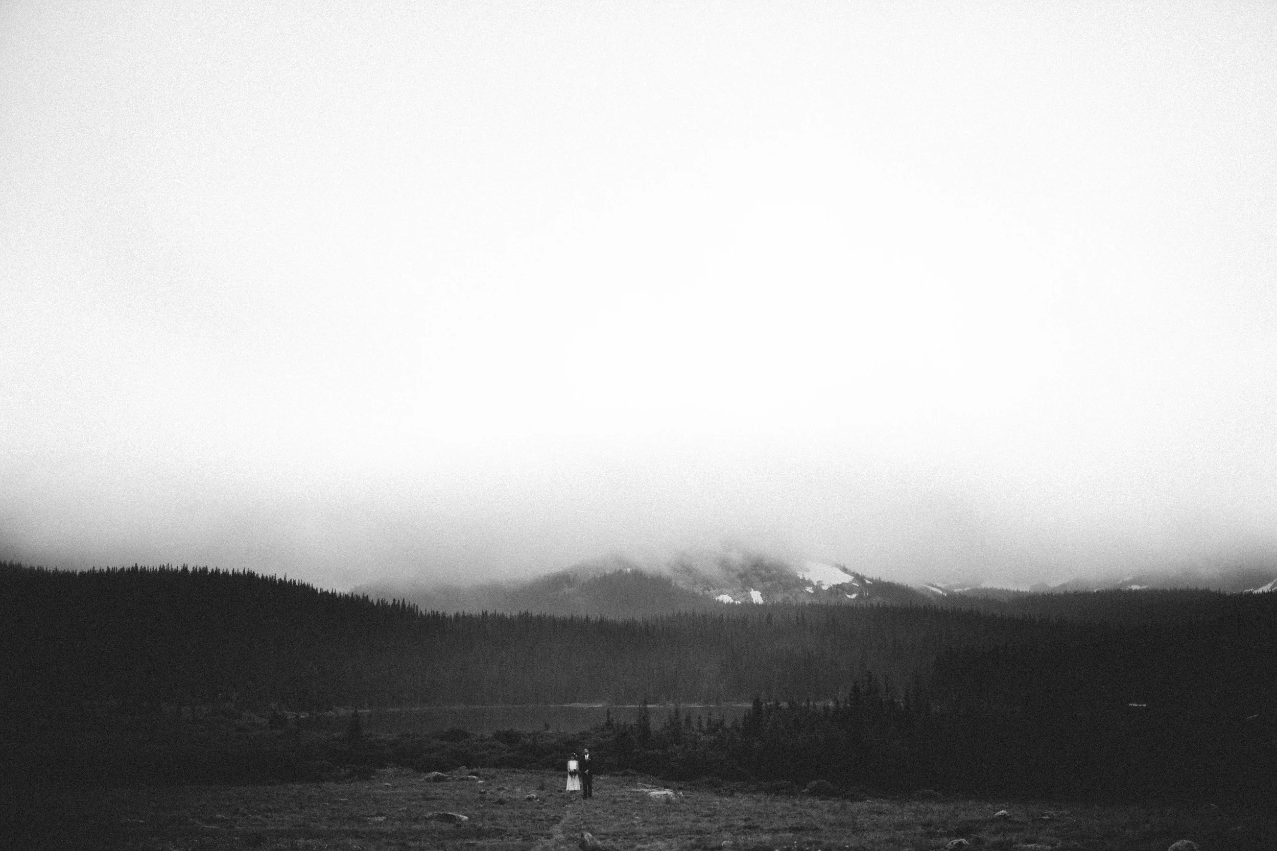 manzanitaphoto28216.jpg