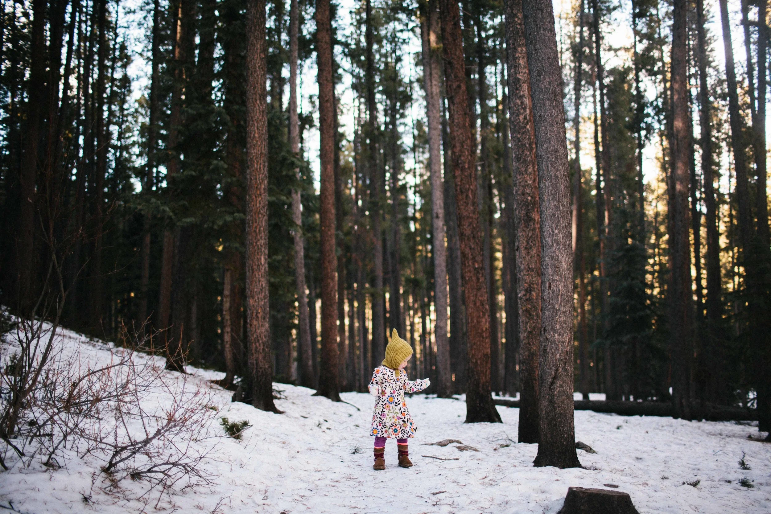 manzanitaphoto16776.JPG