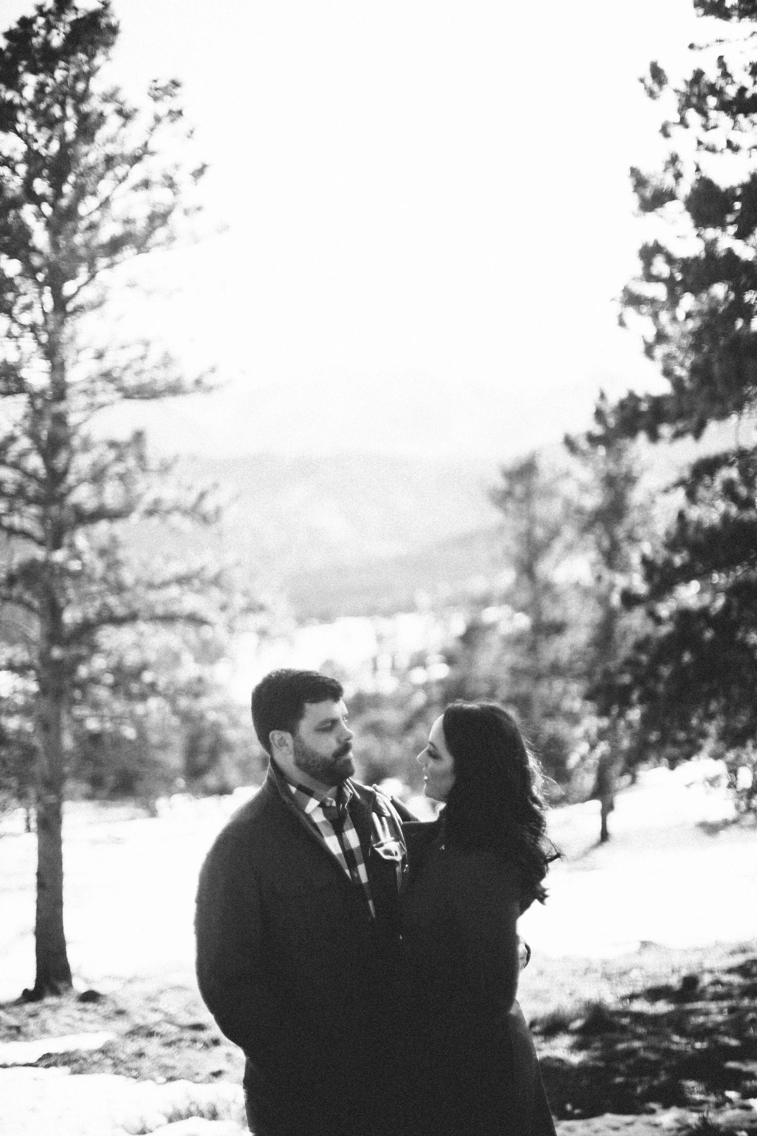 manzanitaphoto6960.JPG