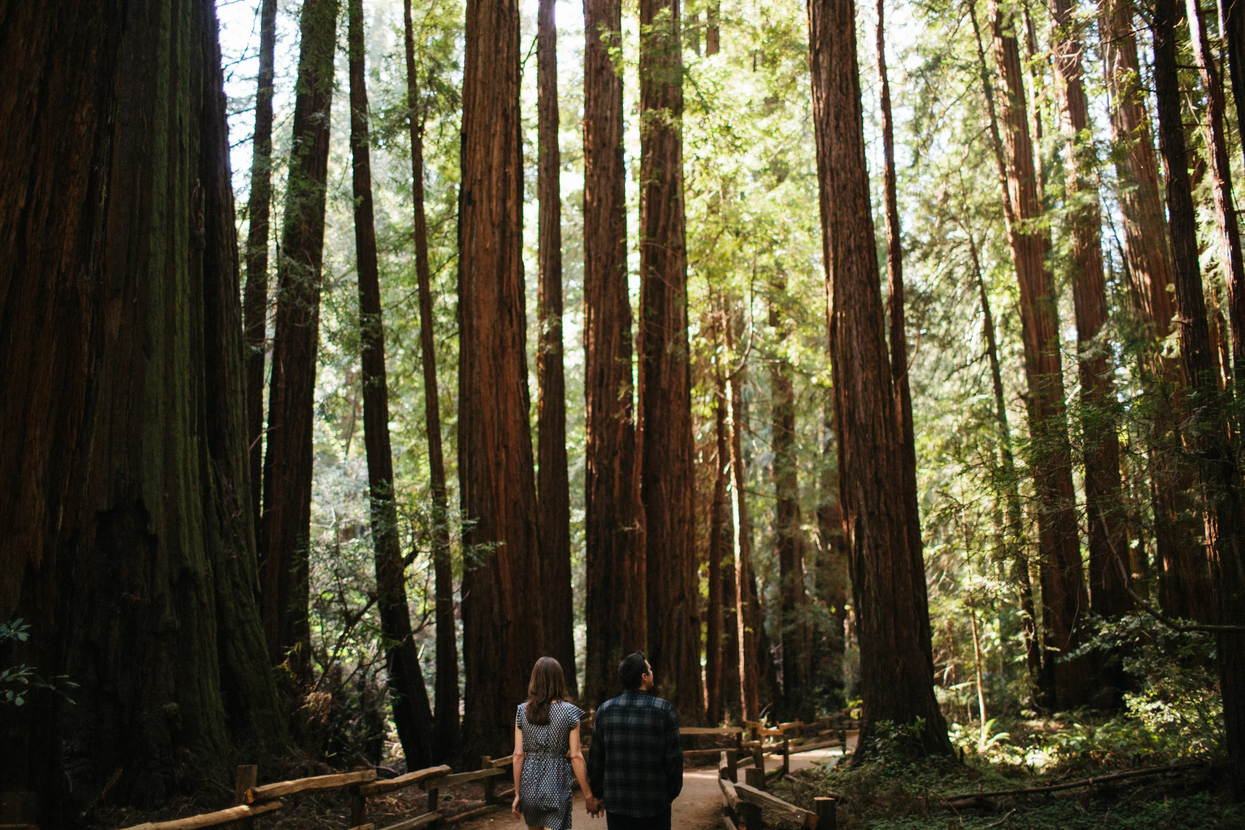 manzanitaphoto10395.JPG