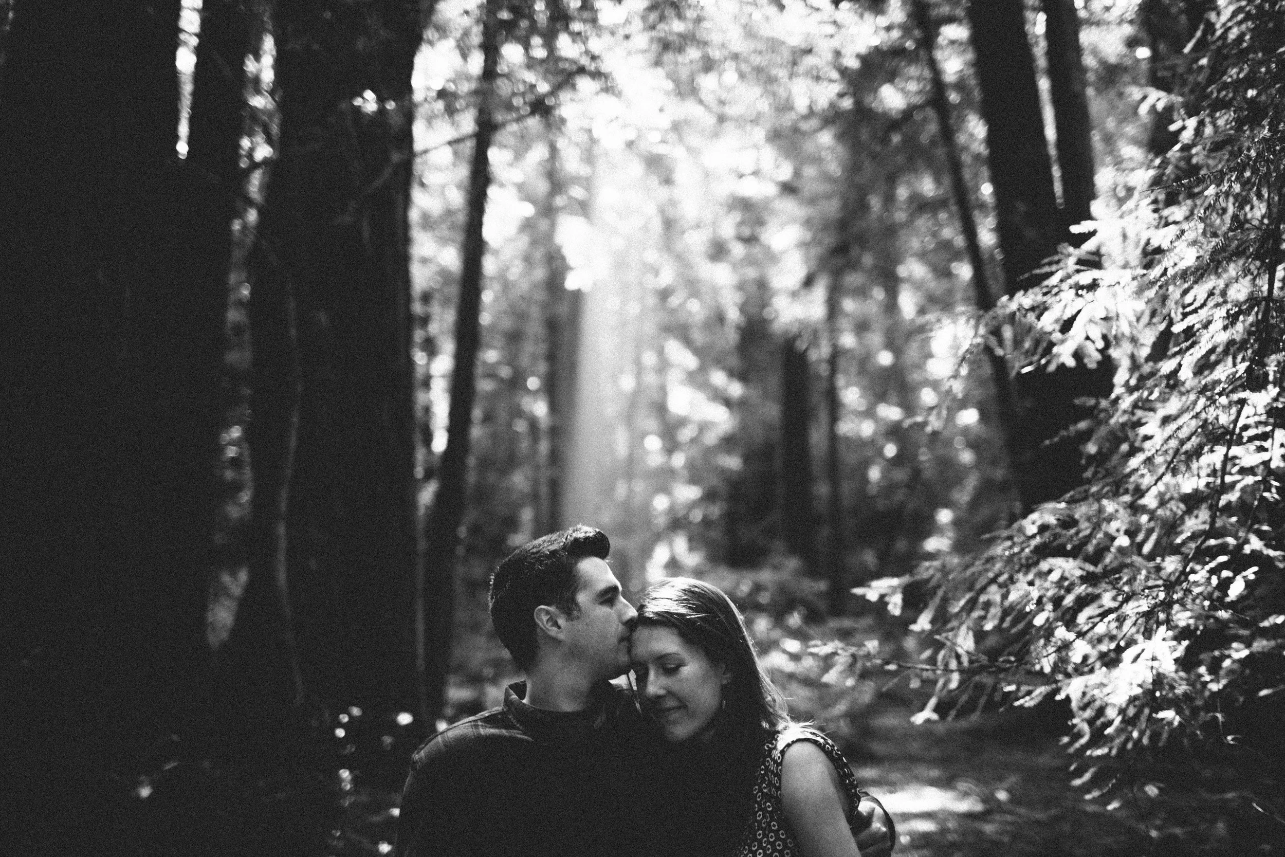 manzanitaphoto10403.JPG