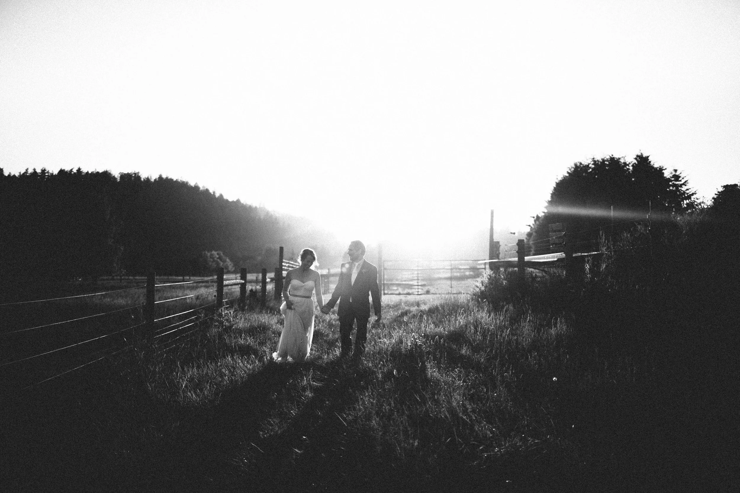 manzanitaphoto52847.JPG