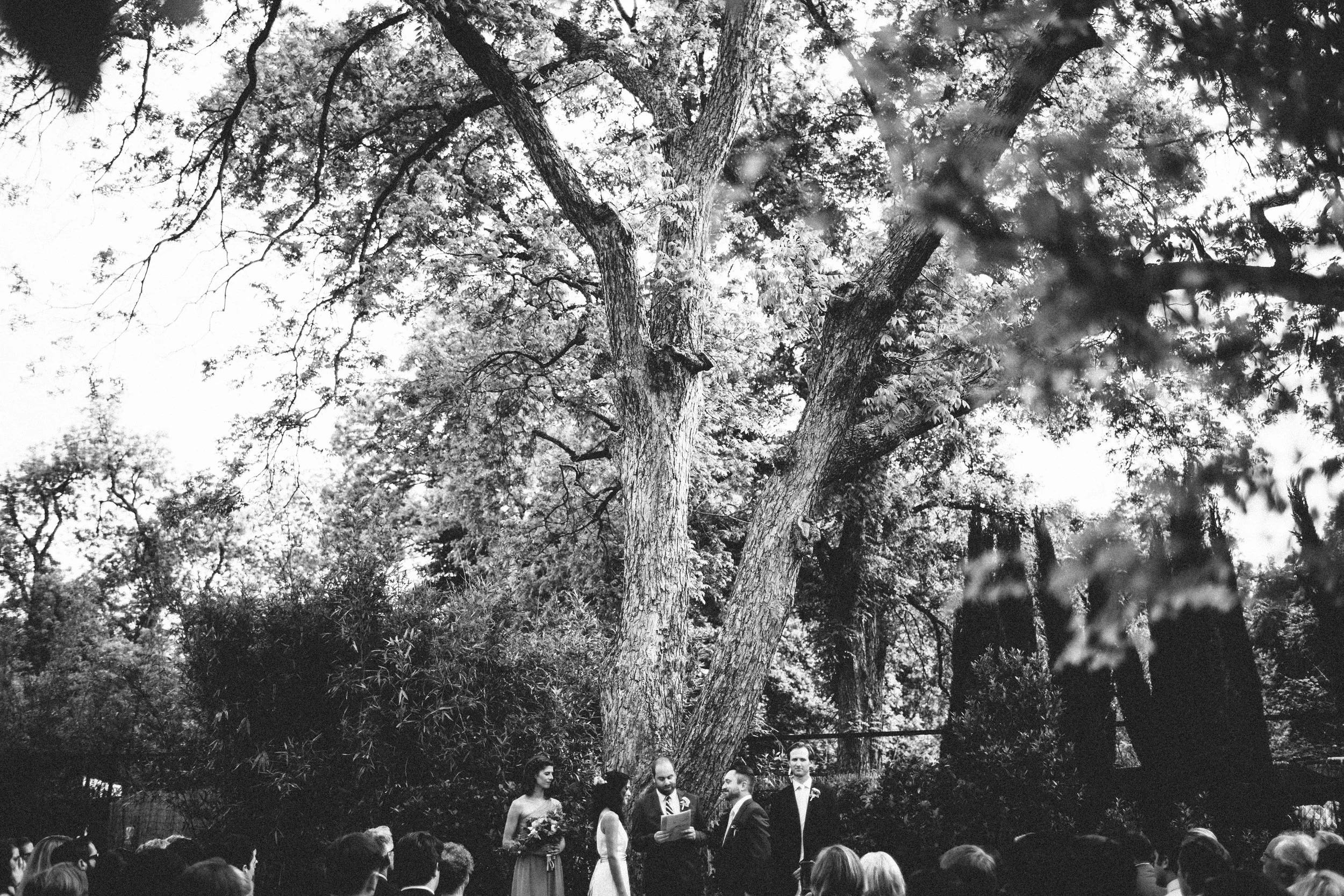 manzanitaphoto11296.JPG