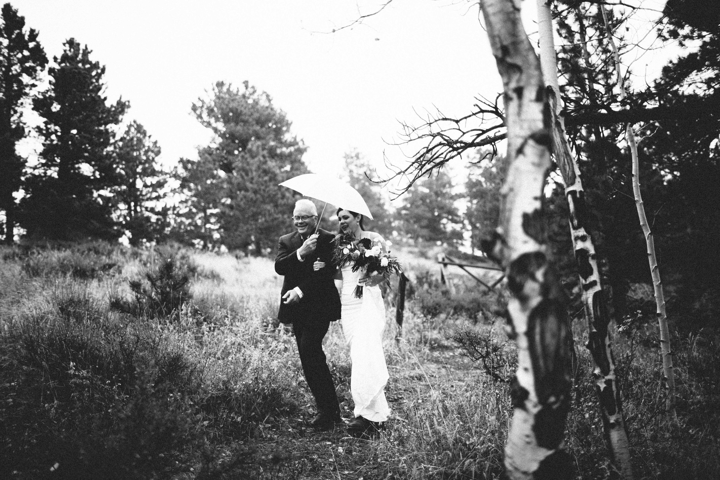 manzanitaphoto18645.JPG