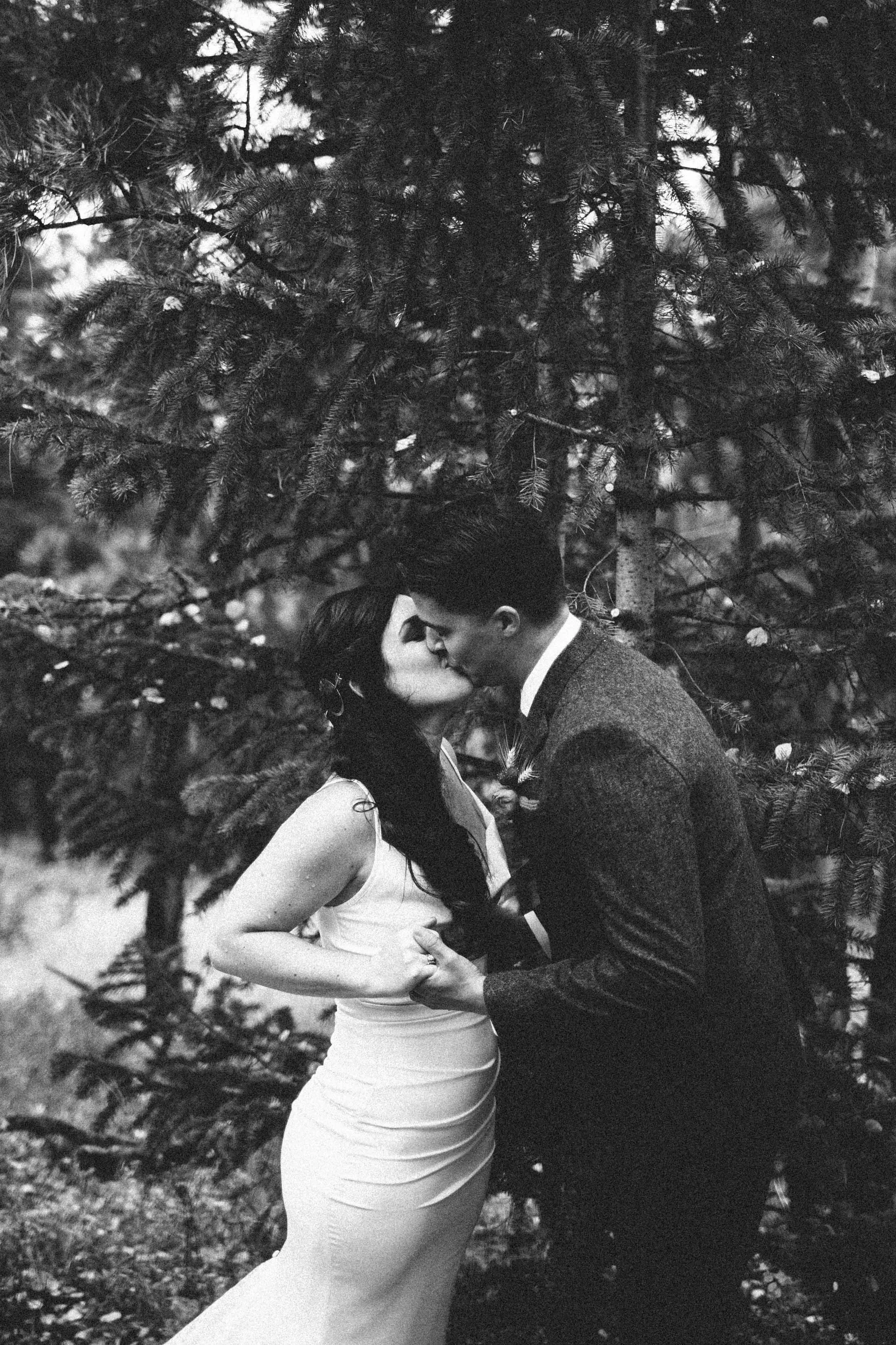 manzanitaphoto18714.JPG
