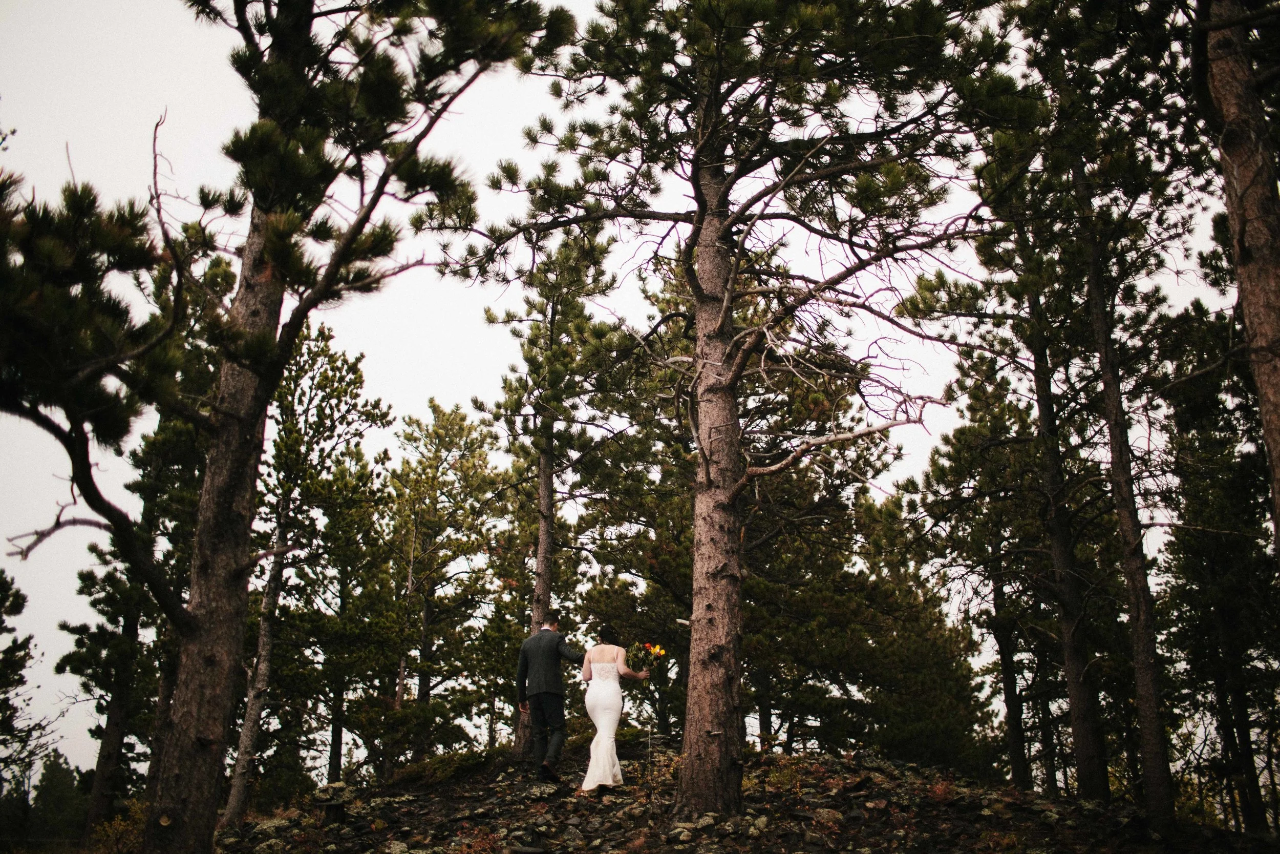 manzanitaphoto18840.JPG