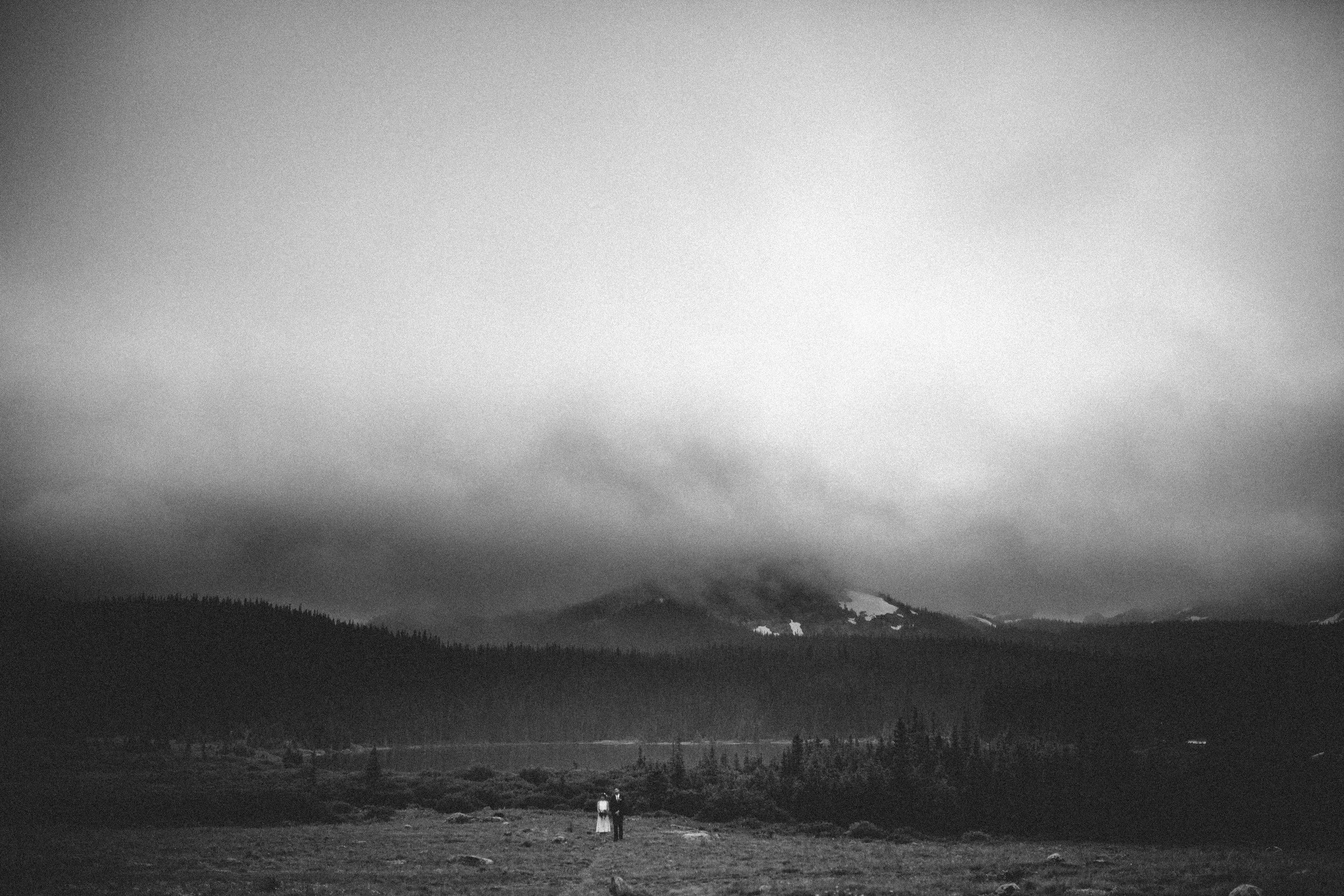 manzanitaphoto21132.JPG