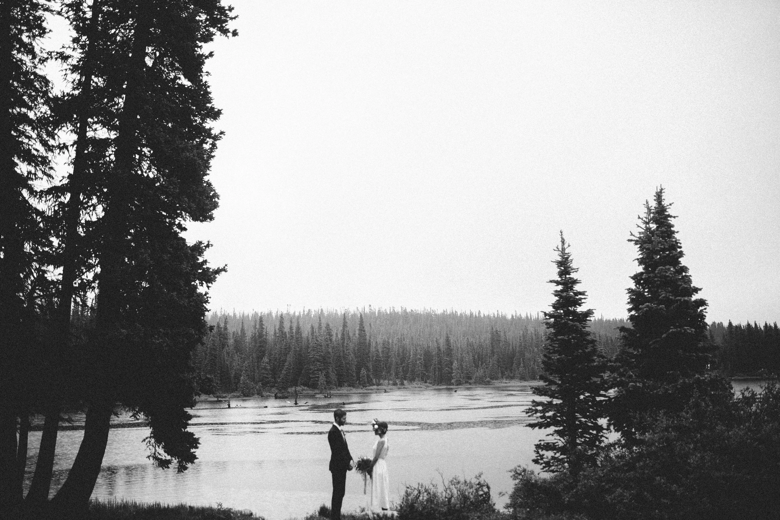 manzanitaphoto21162.JPG