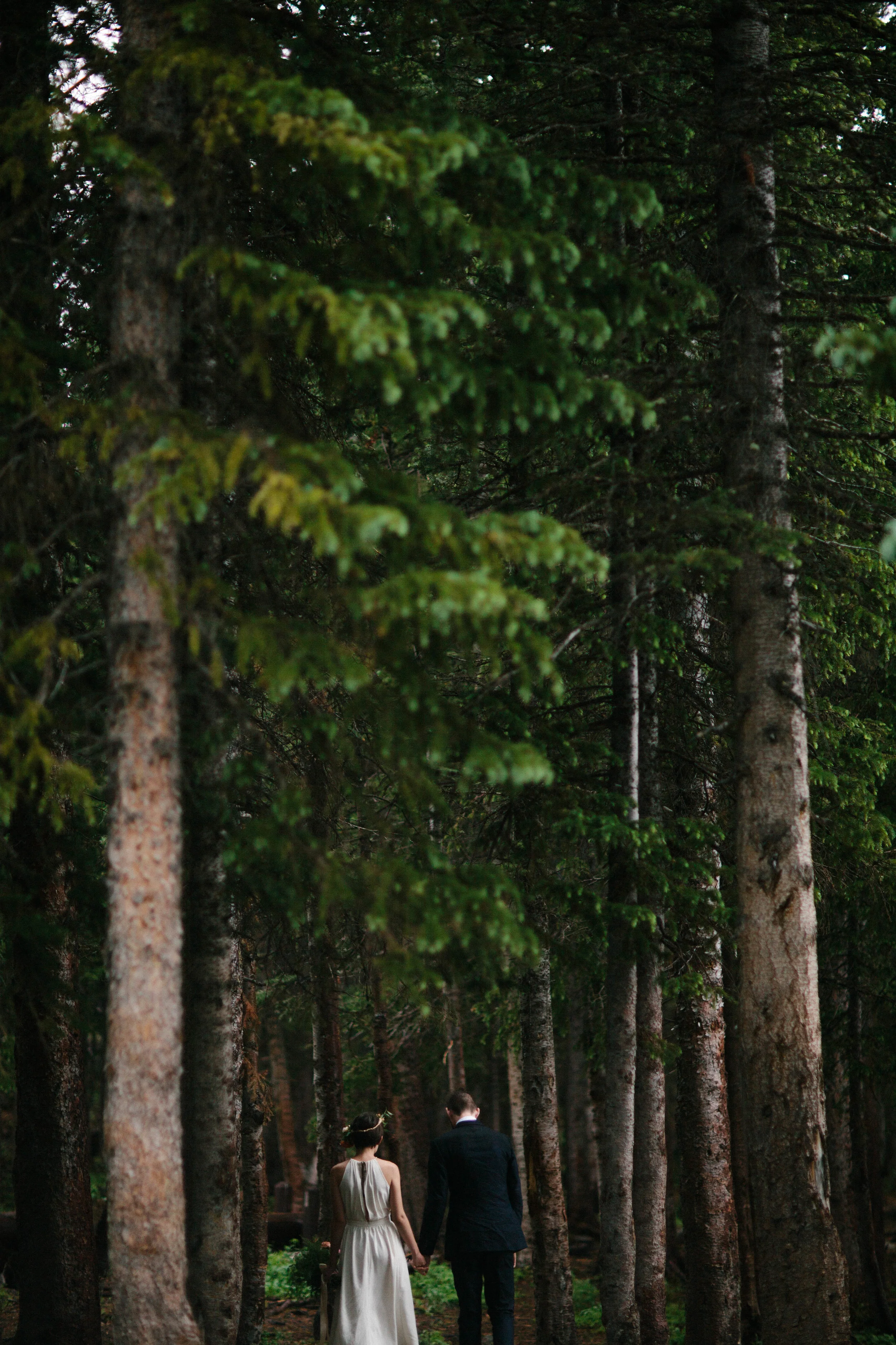 manzanitaphoto21170.JPG
