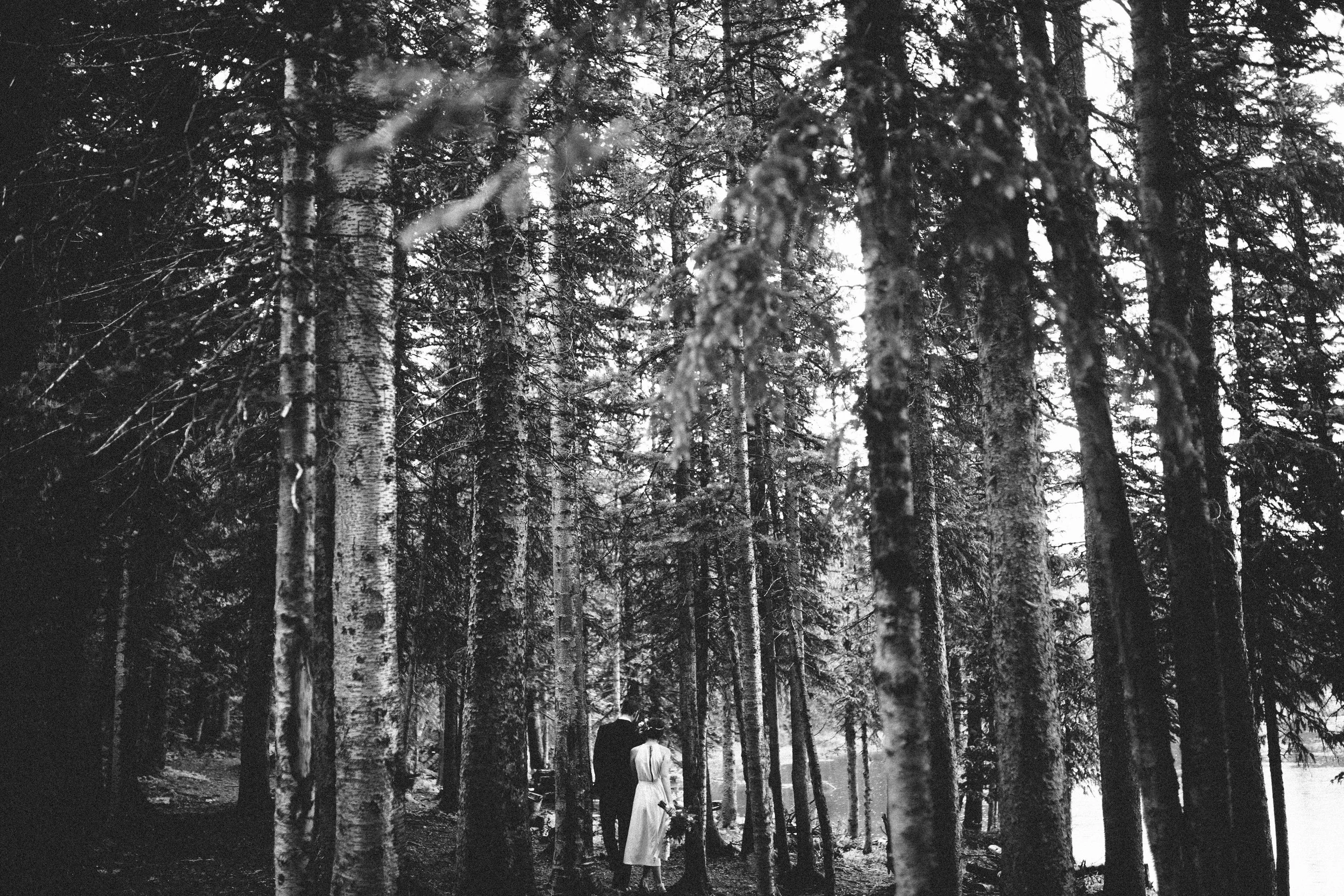 manzanitaphoto21182.JPG