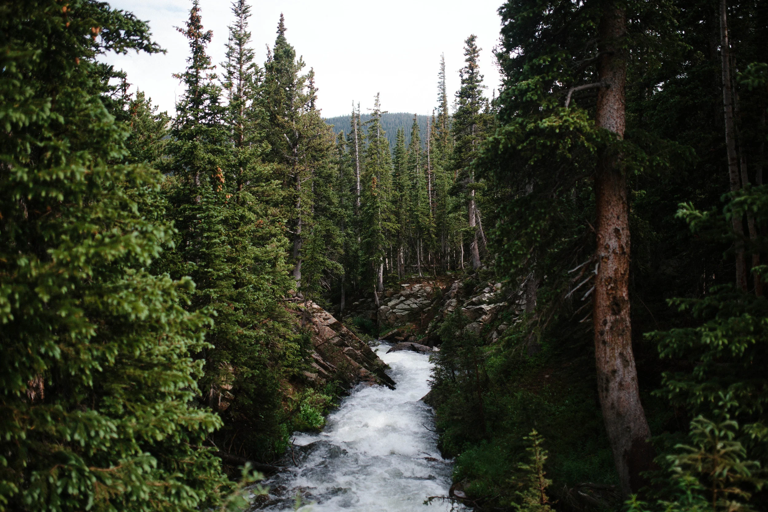 manzanitaphoto21358.JPG