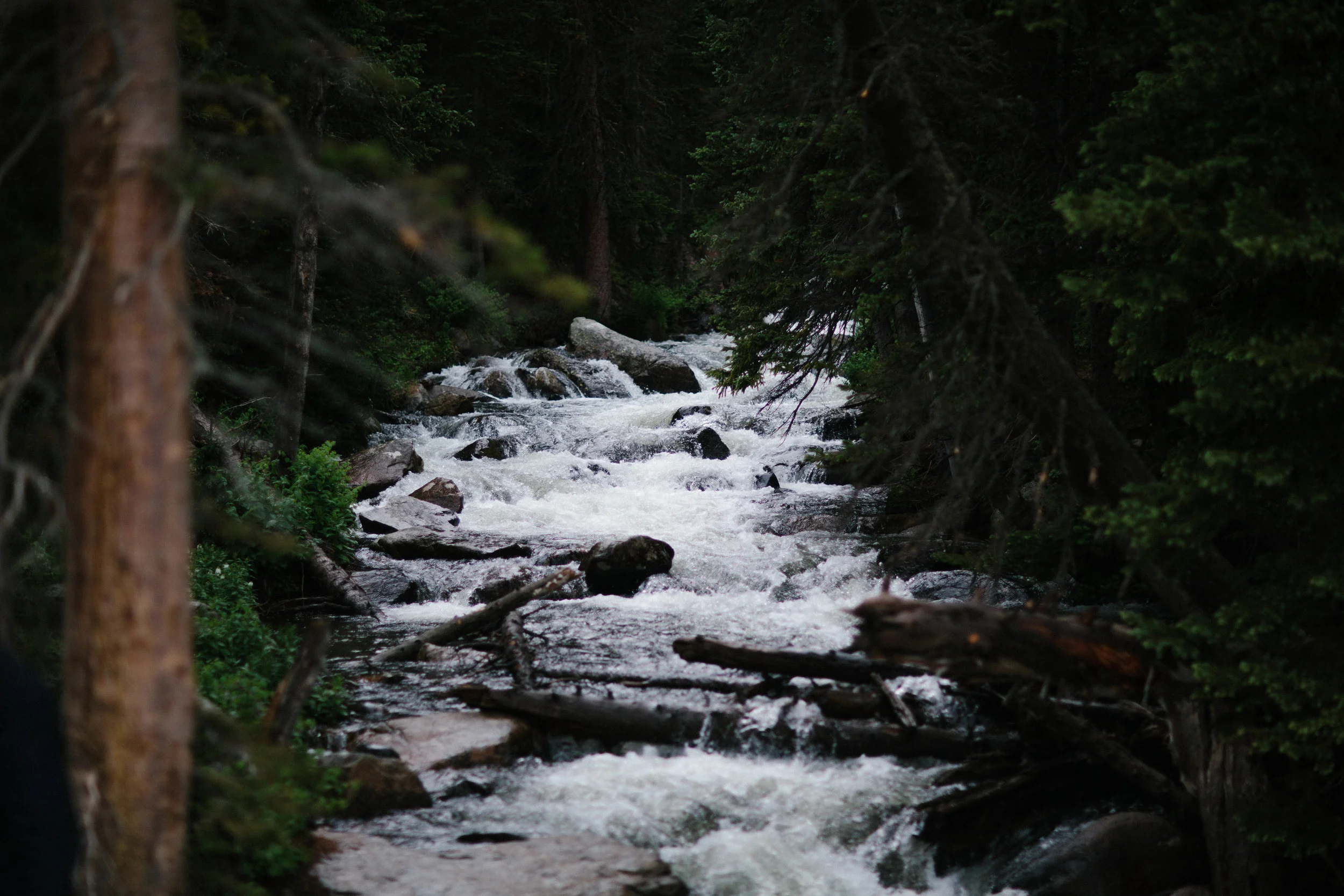 manzanitaphoto21391.JPG