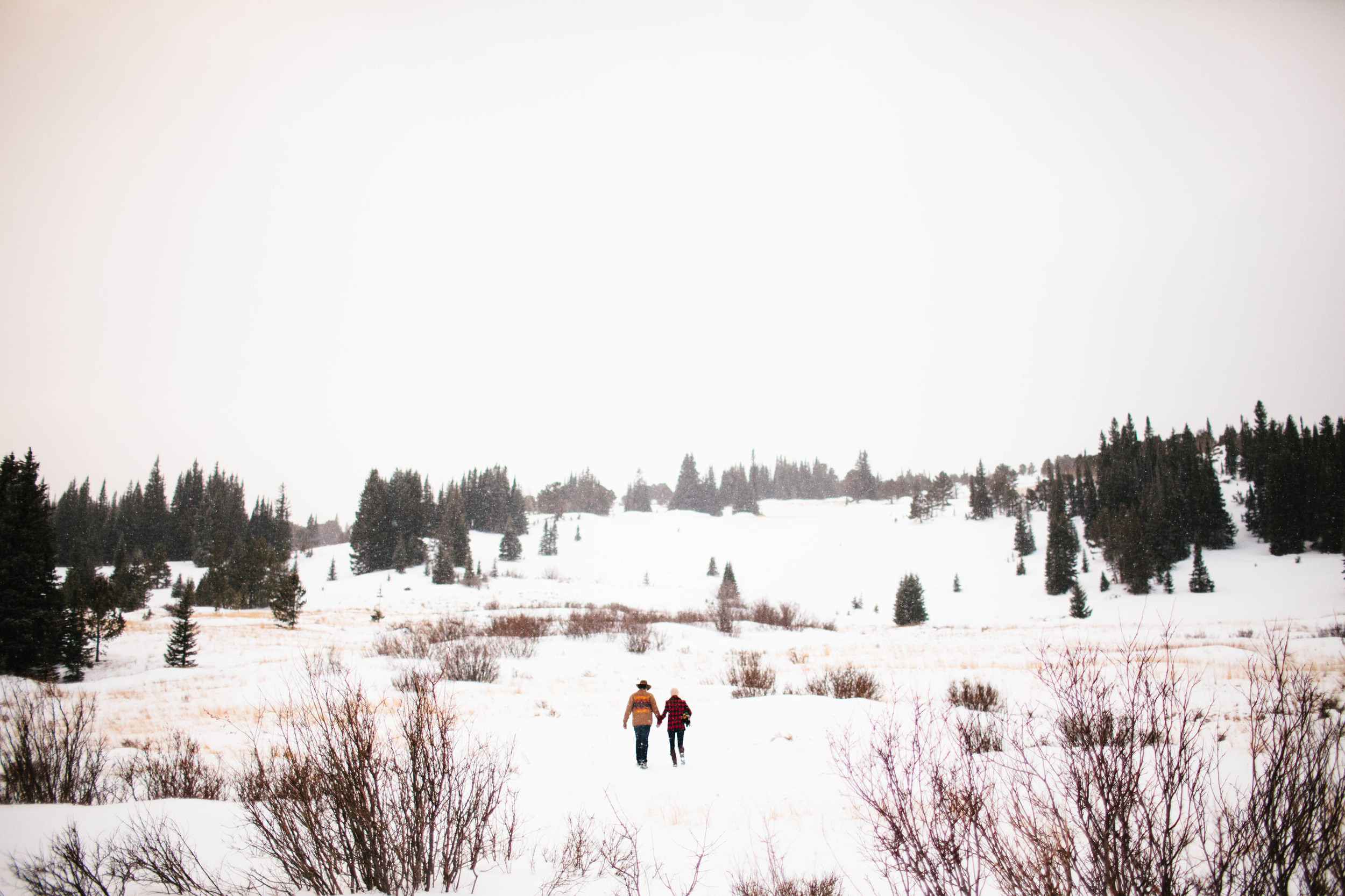manzanitaphoto41851.JPG