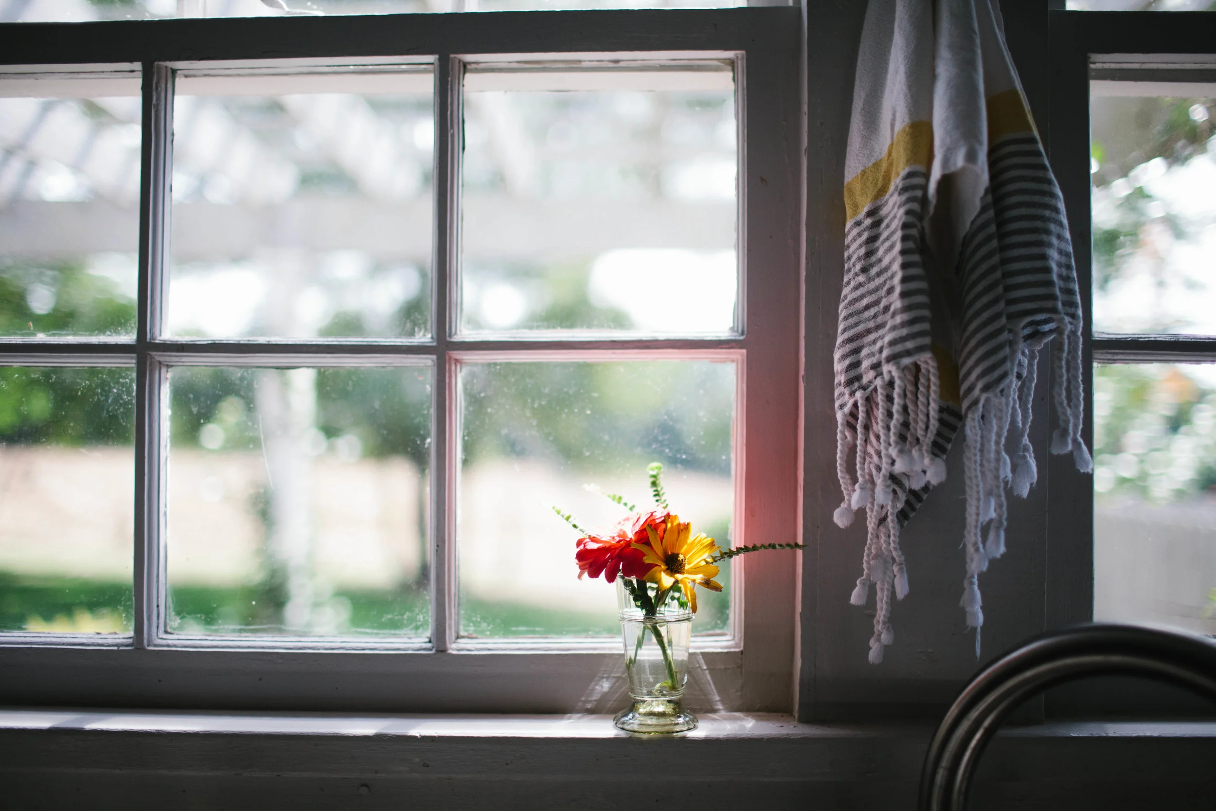 manzanitaphoto30966.JPG