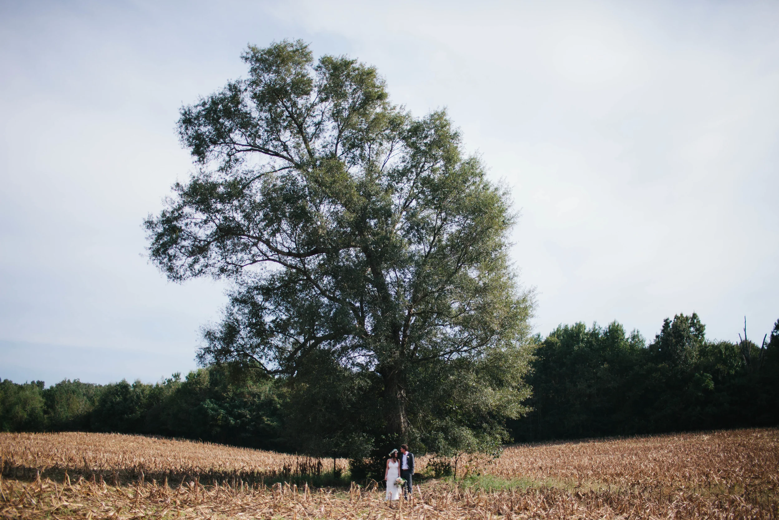 manzanitaphoto31135.JPG
